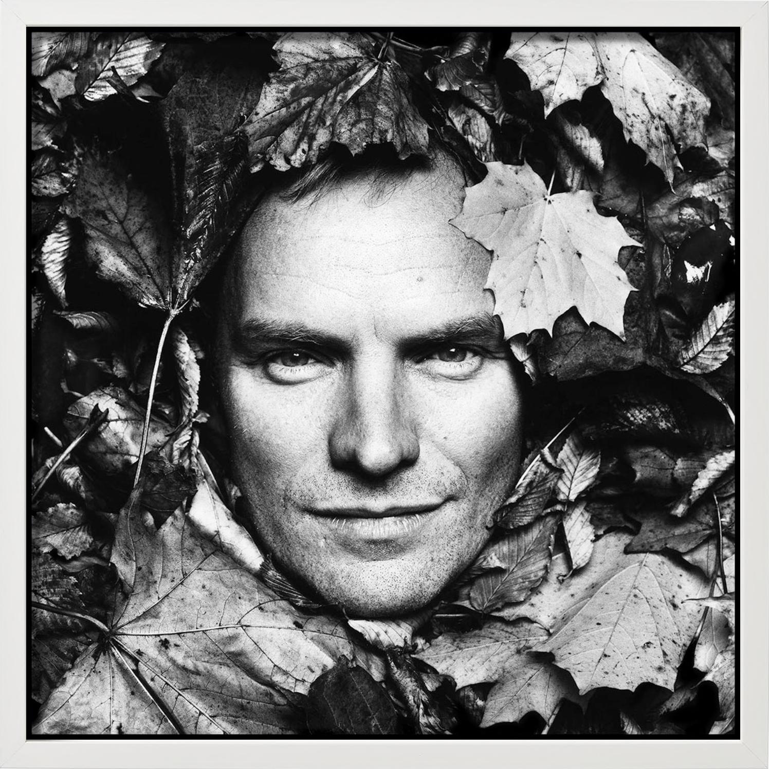 Sting, B/N, La casa di Sting, Diptych Fine Arts Photography, 1994 in vendita 5