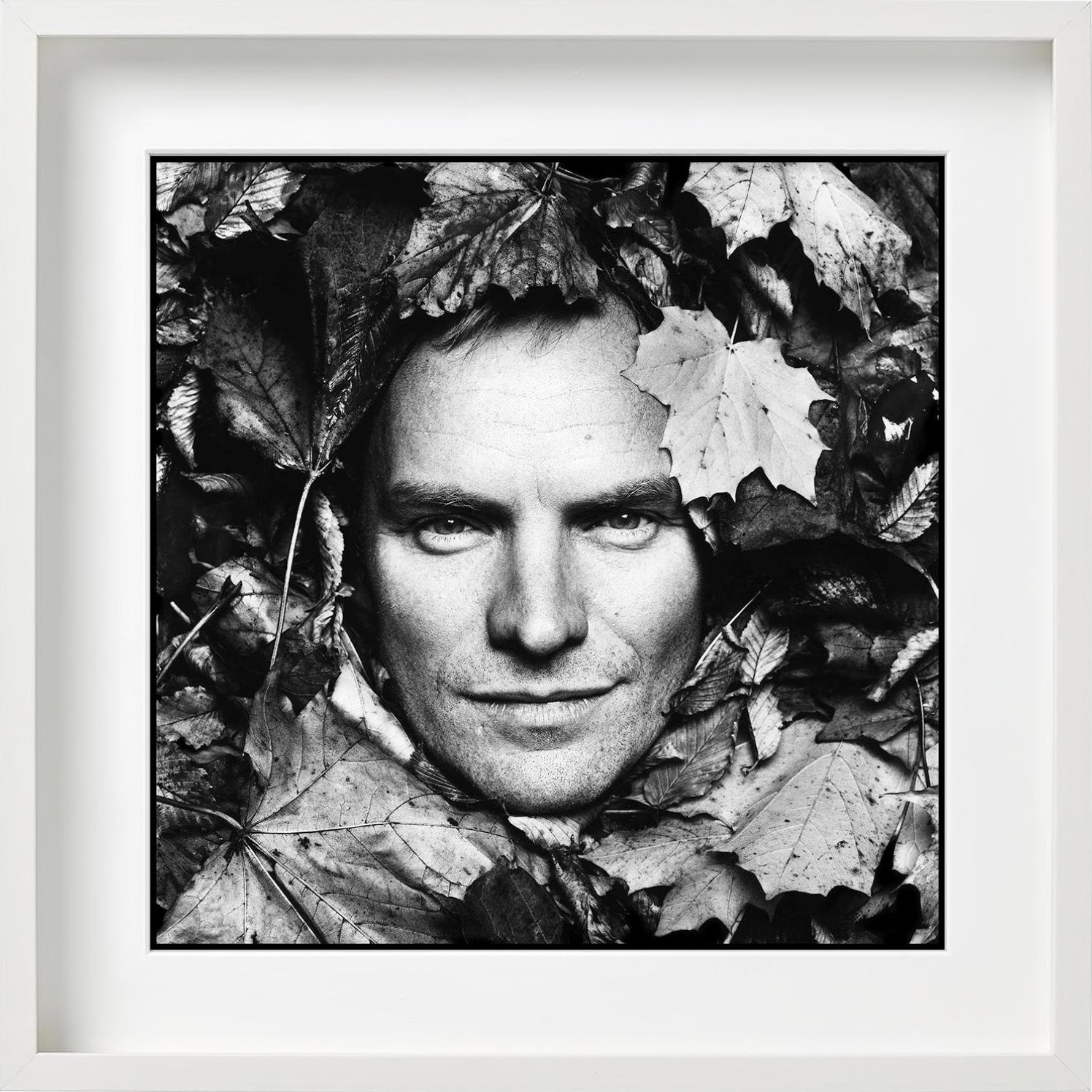 Sting, B/N, La casa di Sting, Diptych Fine Arts Photography, 1994 in vendita 6