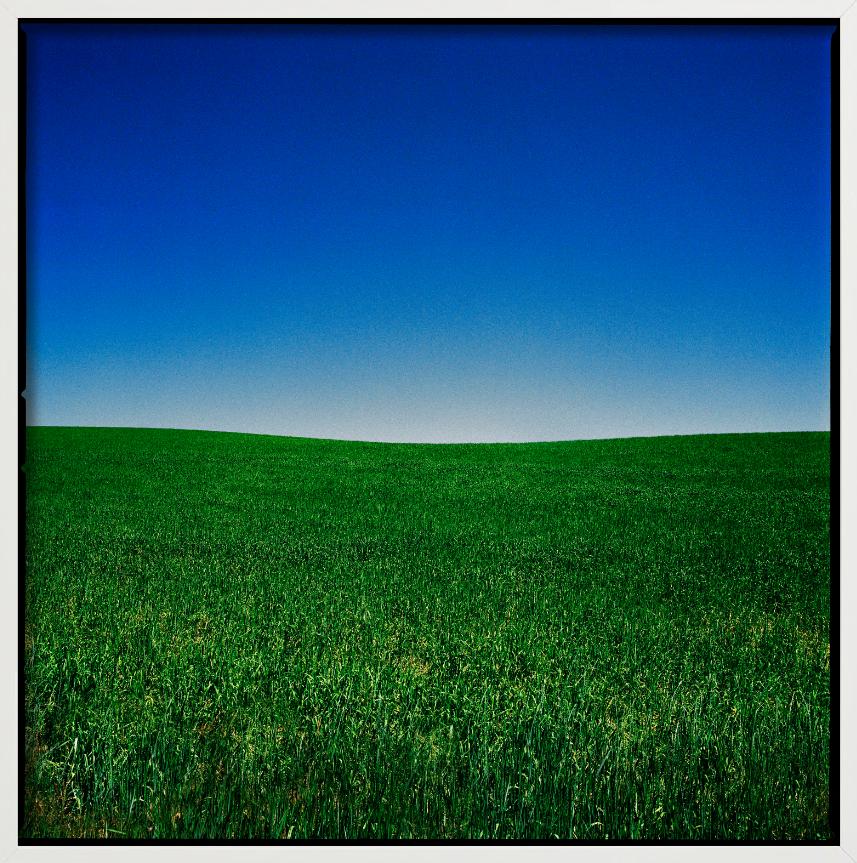 'Wyoming' by Nigel Parry is part of his almost abstract landscape Series, depicting bright blue sky and a green Field.

All prints are limited edition. Available in multiple sizes. High-end framing on request.

All prints are done and signed by the