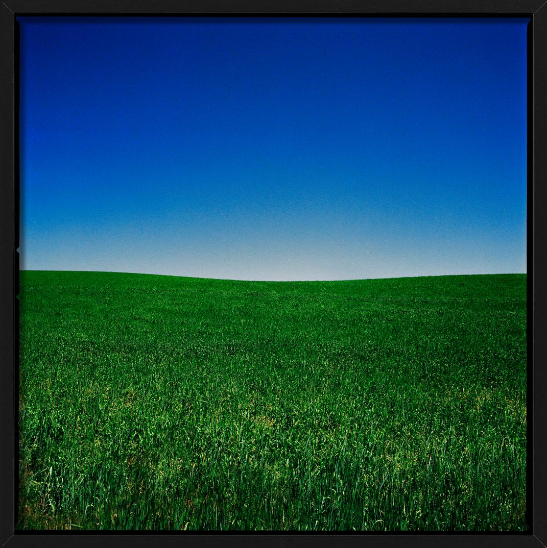 Wyoming - Blue Sky and Green Field, Fine Art Photography, 2022 For Sale 4