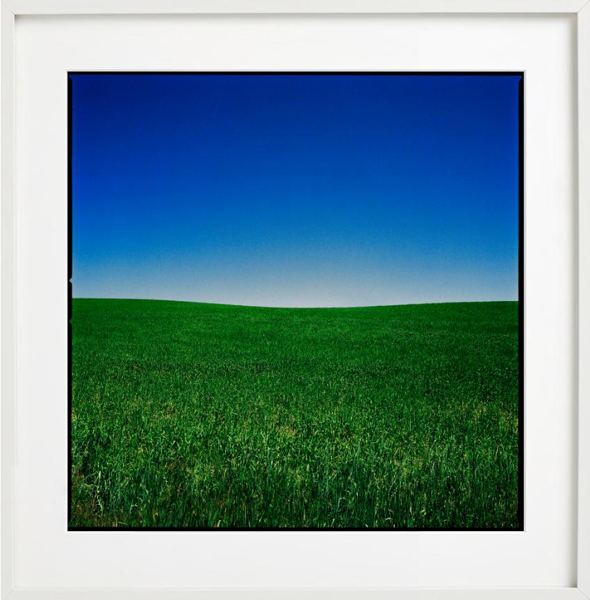 Wyoming - Blue Sky and Green Field, Fine Art Photography, 2022 For Sale 6