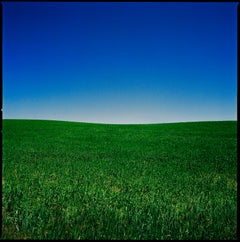Wyoming - Cielo blu e campi verdi, Fotografia d'autore, 2022