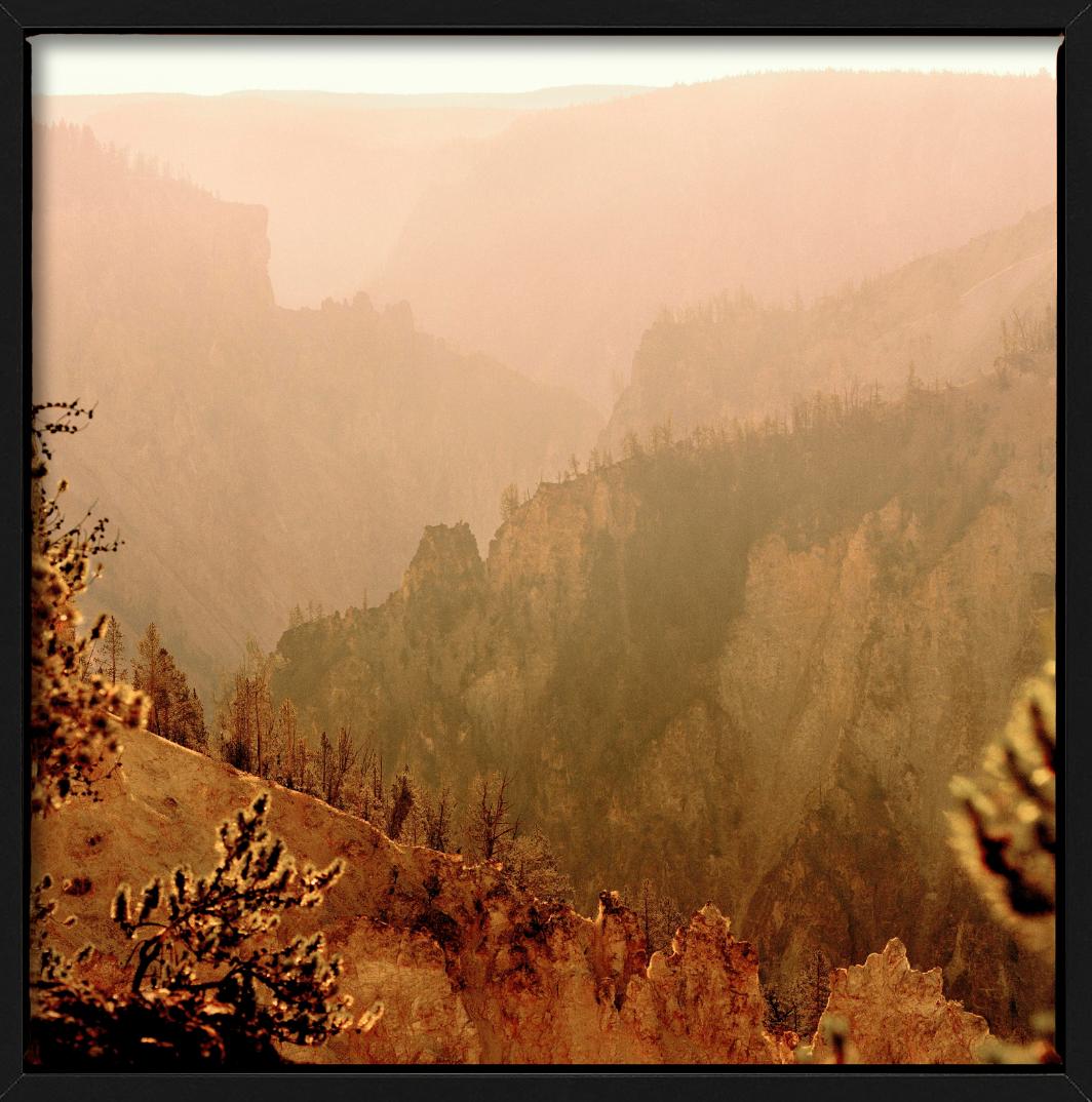 Yellowstone 28 - Berge und Bäume im orangefarbenen Nebel, Kunstfotografie, 2022 (Orange), Landscape Photograph, von Nigel Parry