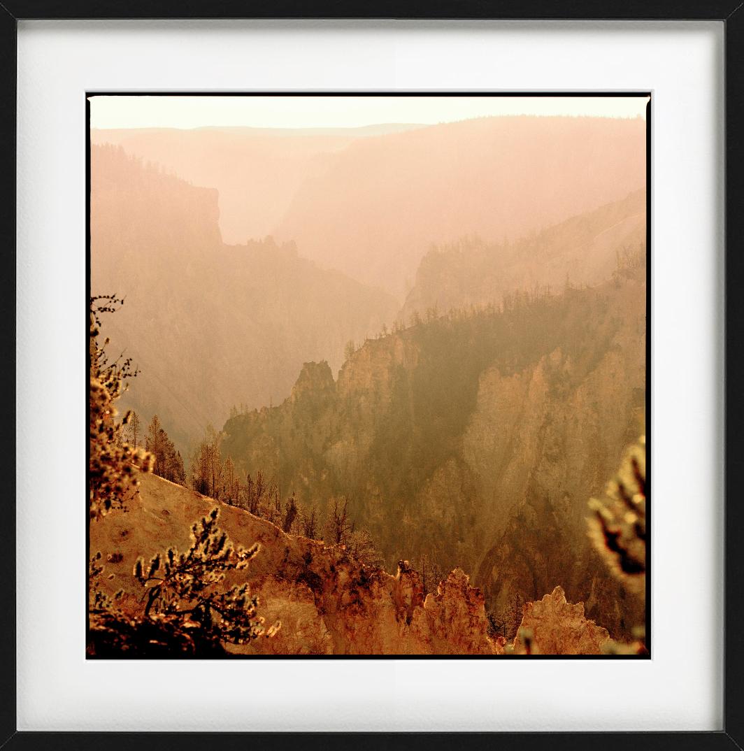 Yellowstone 28