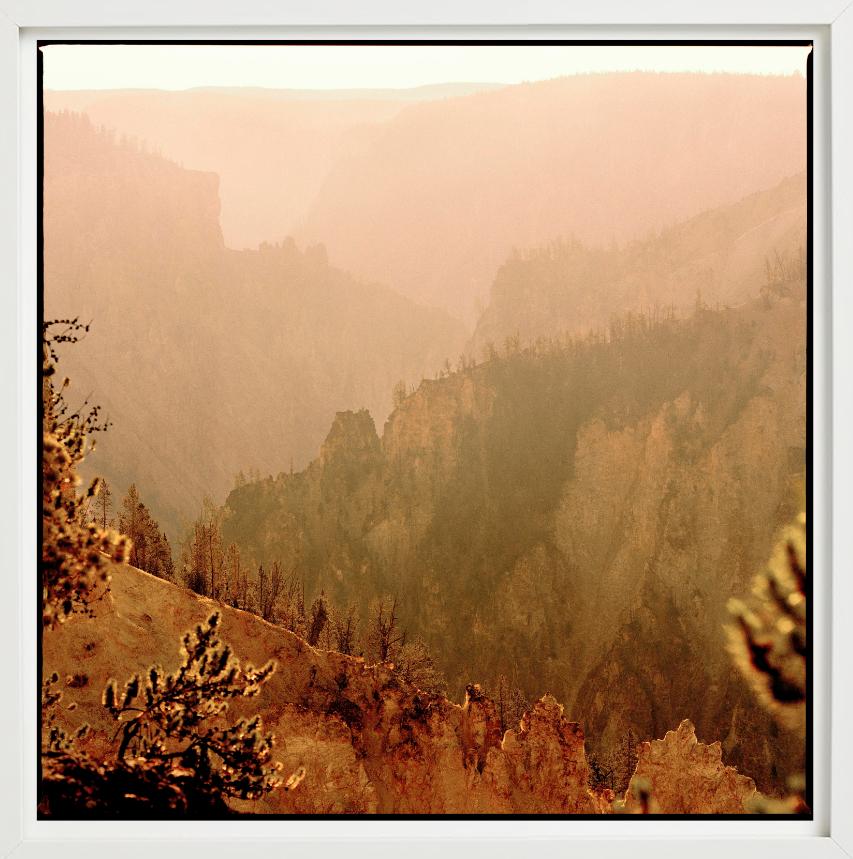 Yellowstone 28 - Berge und Bäume im orangefarbenen Nebel, Kunstfotografie, 2022 im Angebot 1