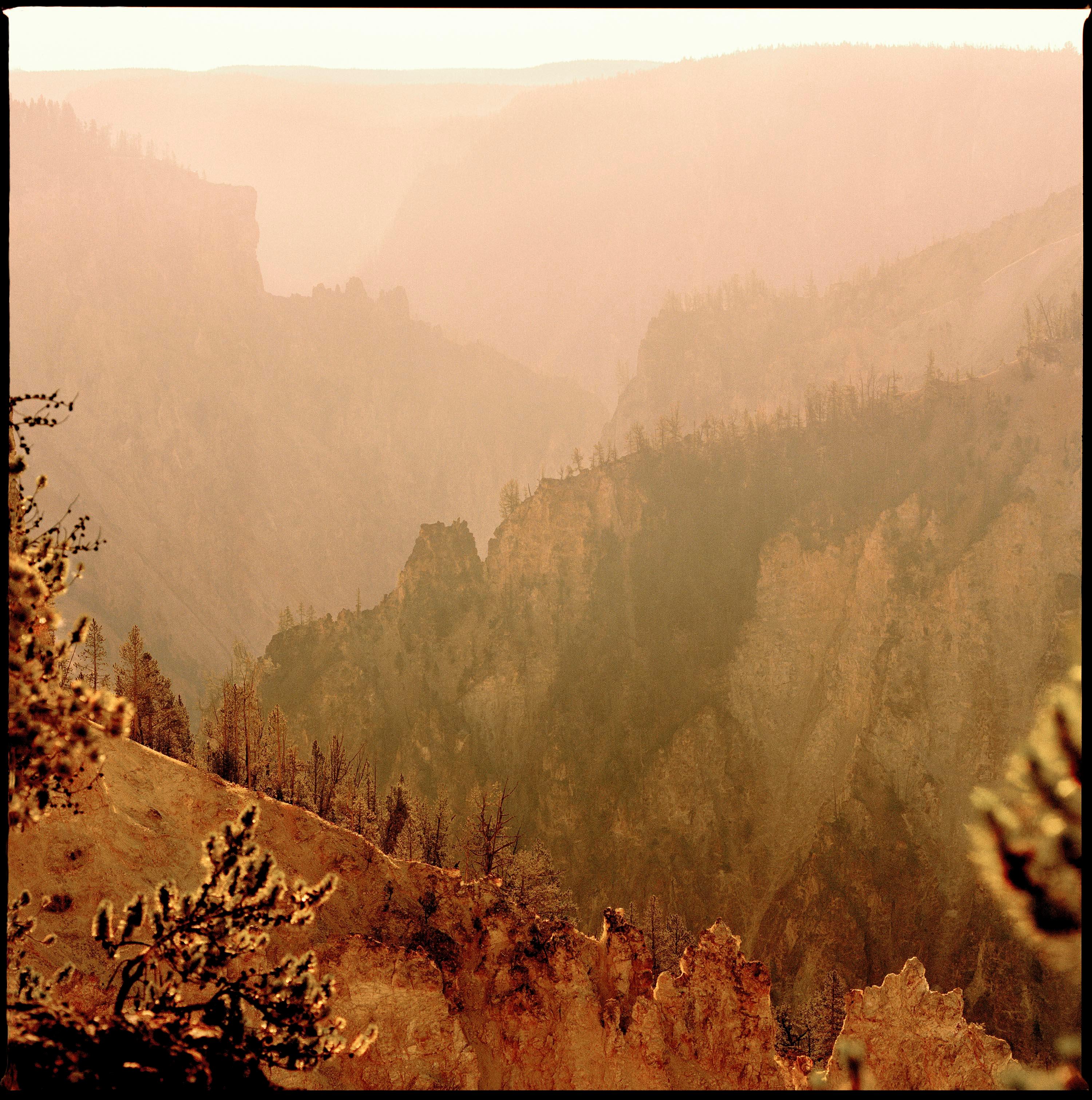 Nigel Parry Landscape Photograph – Yellowstone 28 - Berge und Bäume im orangefarbenen Nebel, Kunstfotografie, 2022