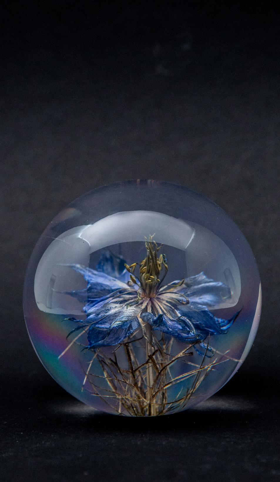 Nigella Flower Paperweight In New Condition In New York, NY