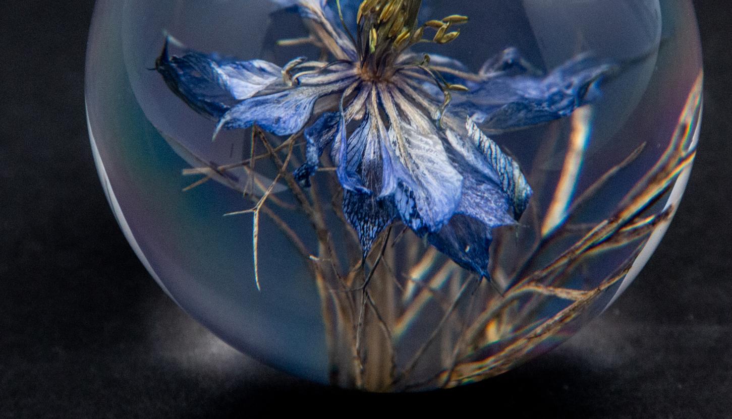 Resin Nigella Flower Paperweight
