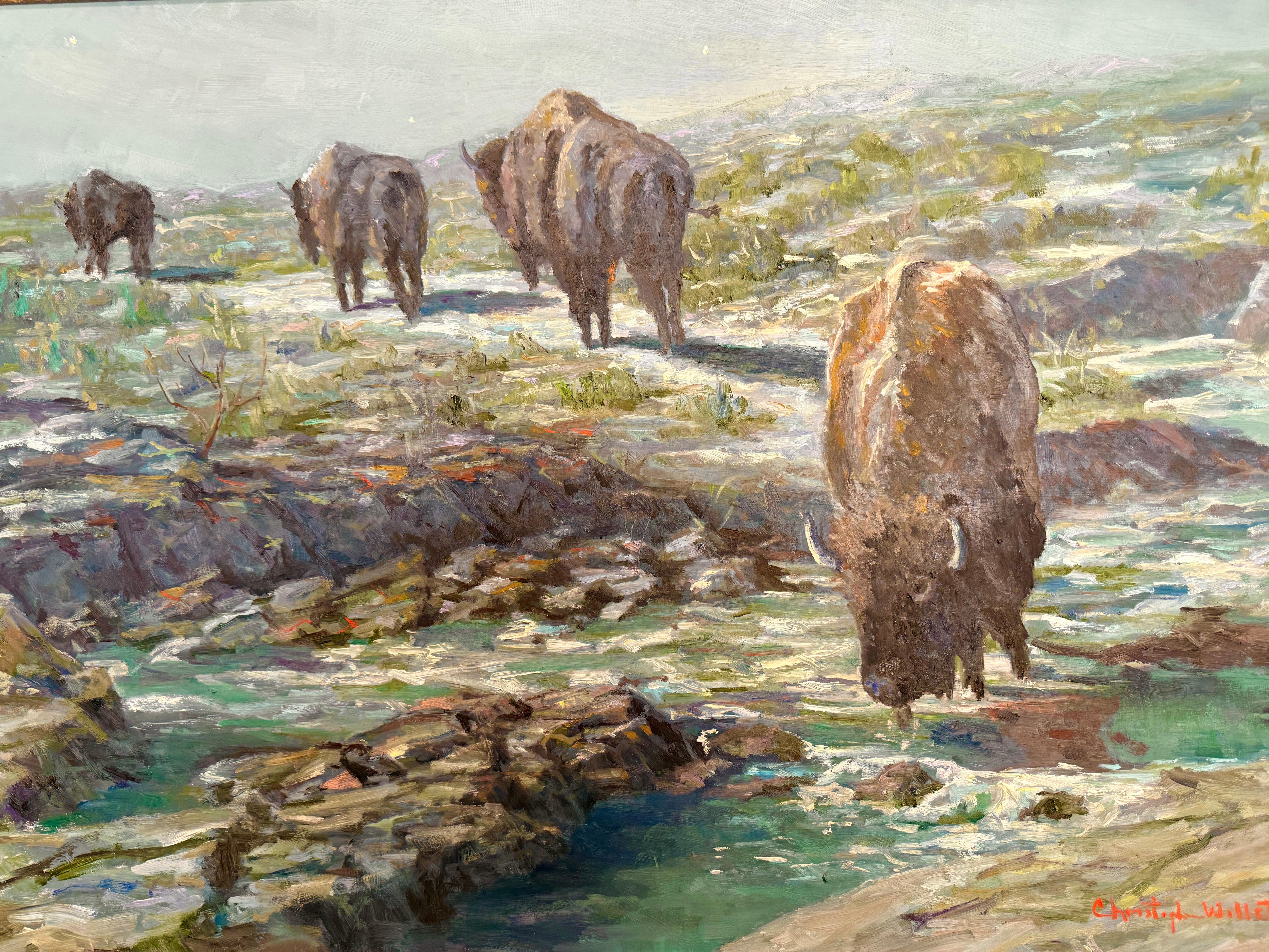 Bois Nuit au point d'eau Bison d'Amérique du Nord Scène de boisson Peinture de Willett en vente