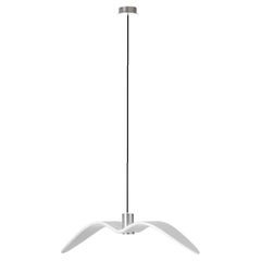 Night Birds Pendant by Brokis in Opaline BROKISGLASS Shade and Black Chord
