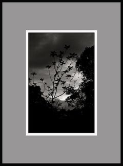 « Nightfall », photographie en noir et blanc à tirage gélatino-argentique d'Ana Maria Corteso