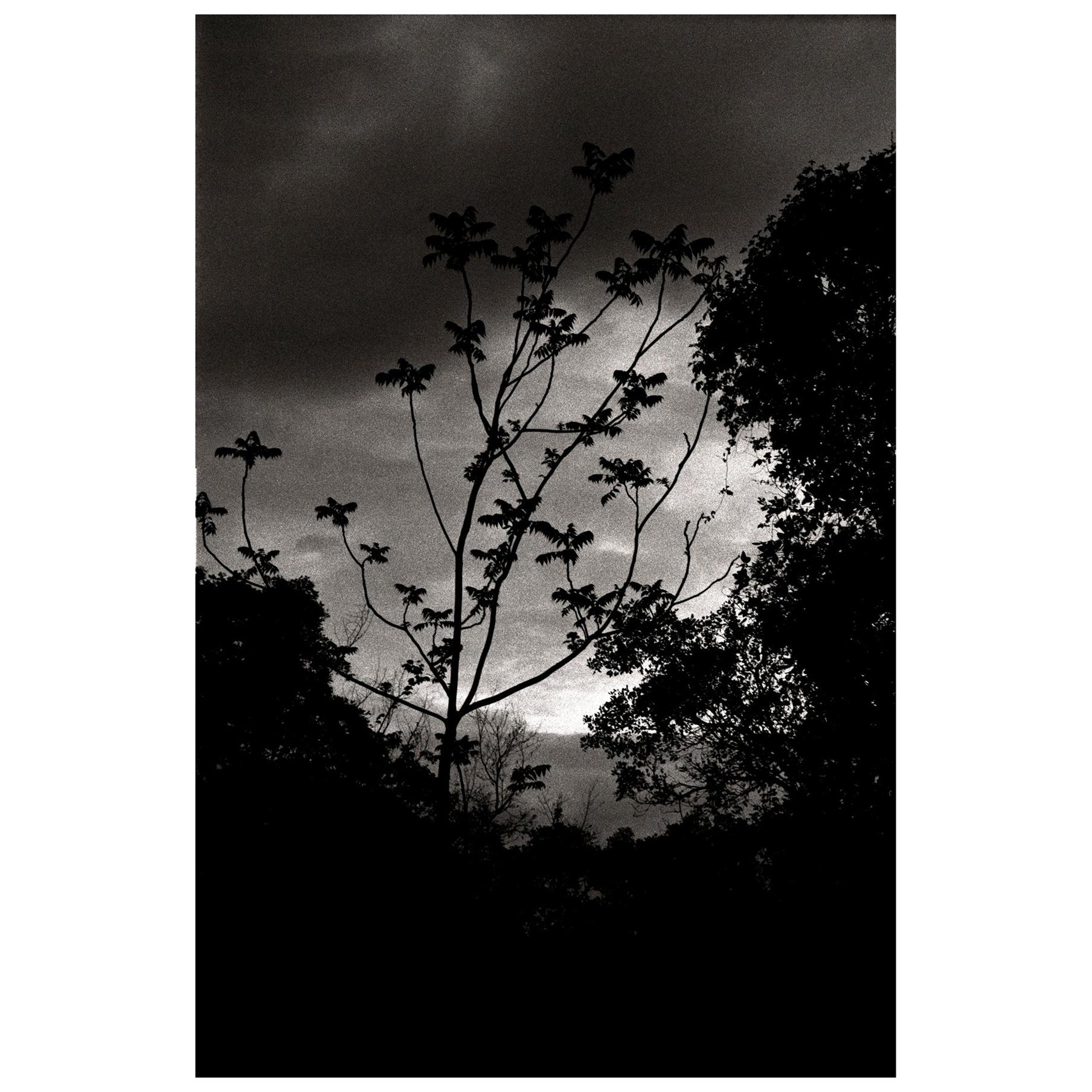 "Nightfall" Black & White Photography Gelatin Silver Print by Ana Maria Cortesão