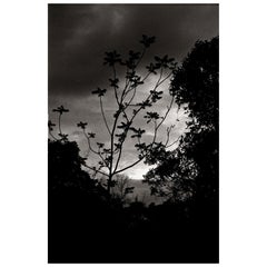 Vintage "Nightfall" Black & White Photography Gelatin Silver Print by Ana Maria Cortesão