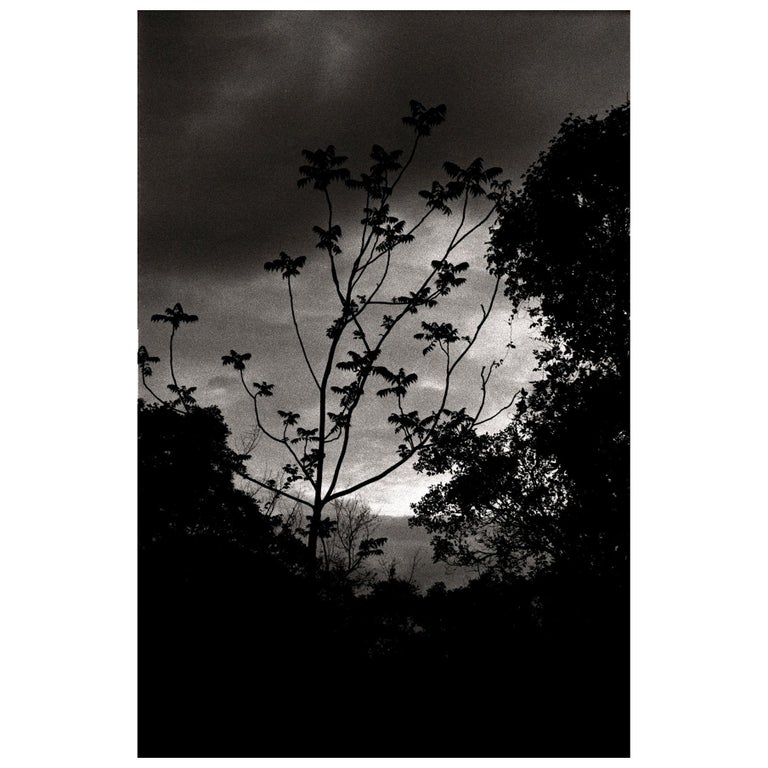 "Nightfall" Black & White Photography Gelatin Silver Print by Ana Maria Cortesão For Sale