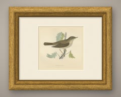 Nightingale Perched among Lobed Leaves, Morris Bird Print, 1896