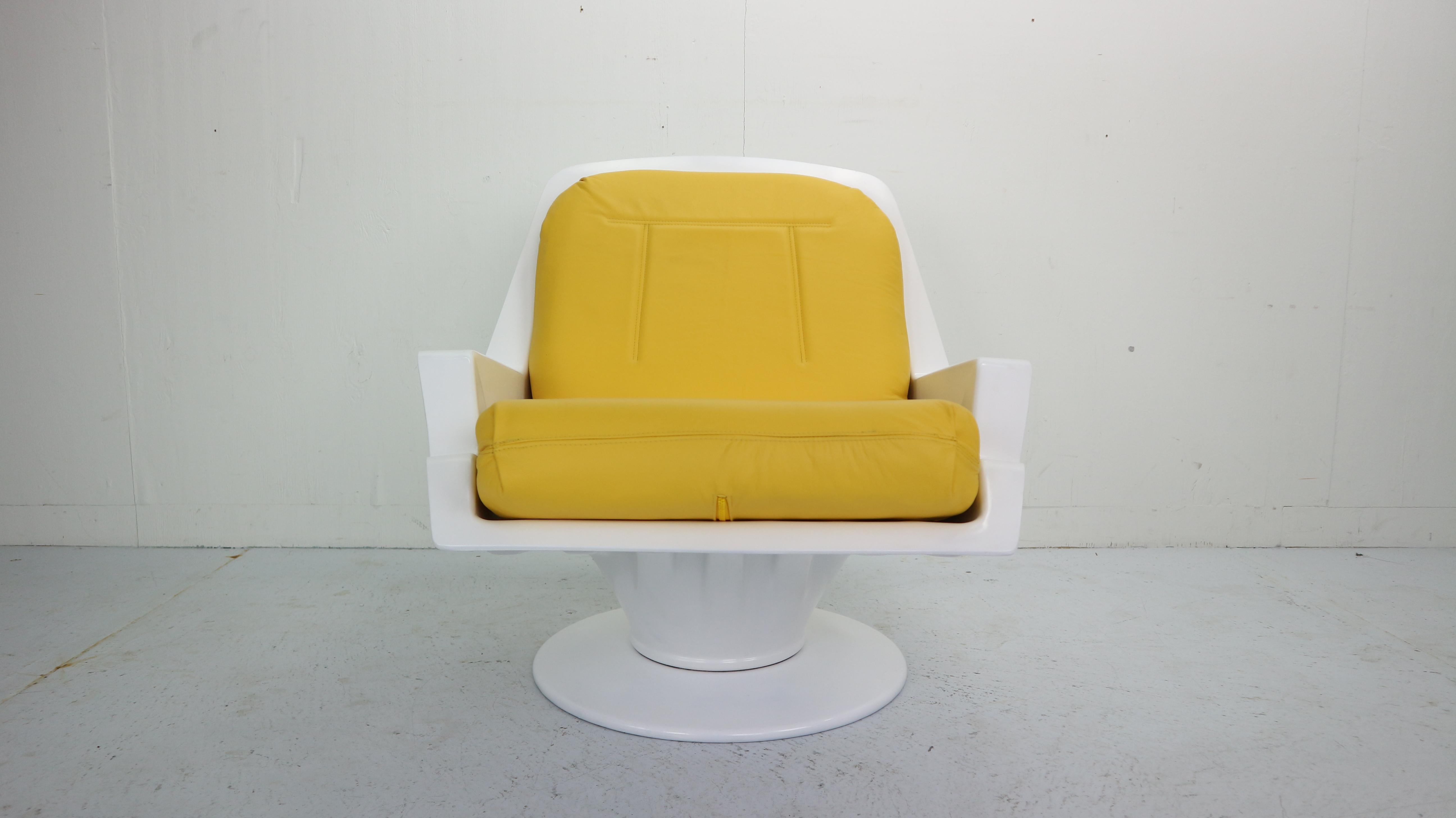 Italian NIKE Lounge Chairs by Richard Neagle for Sormani, 1960s, Italy