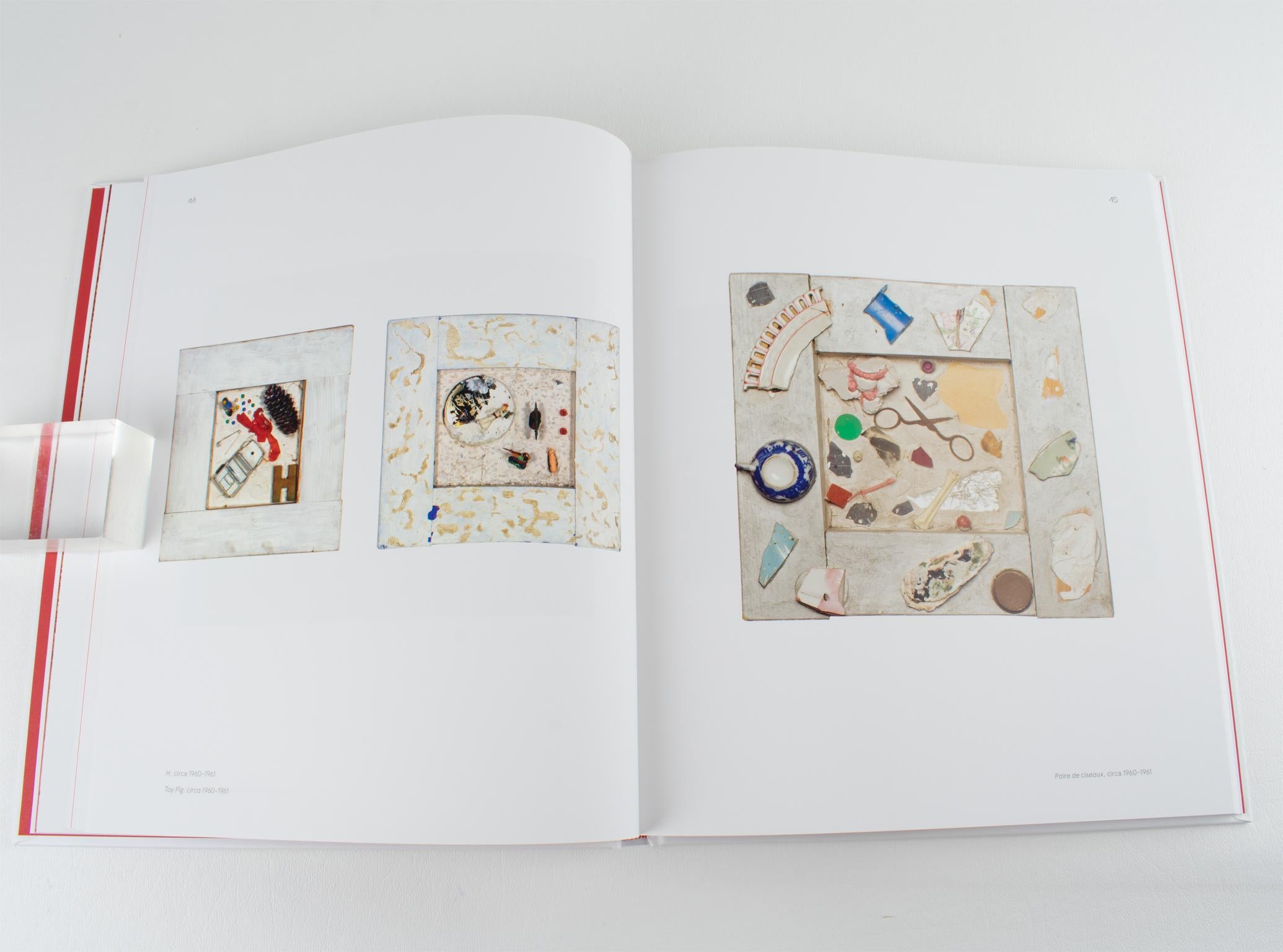XXI secolo e contemporaneo Niki de Saint Phalle, Shadow and Light, Libro francese/inglese di Numa Hambursin in vendita