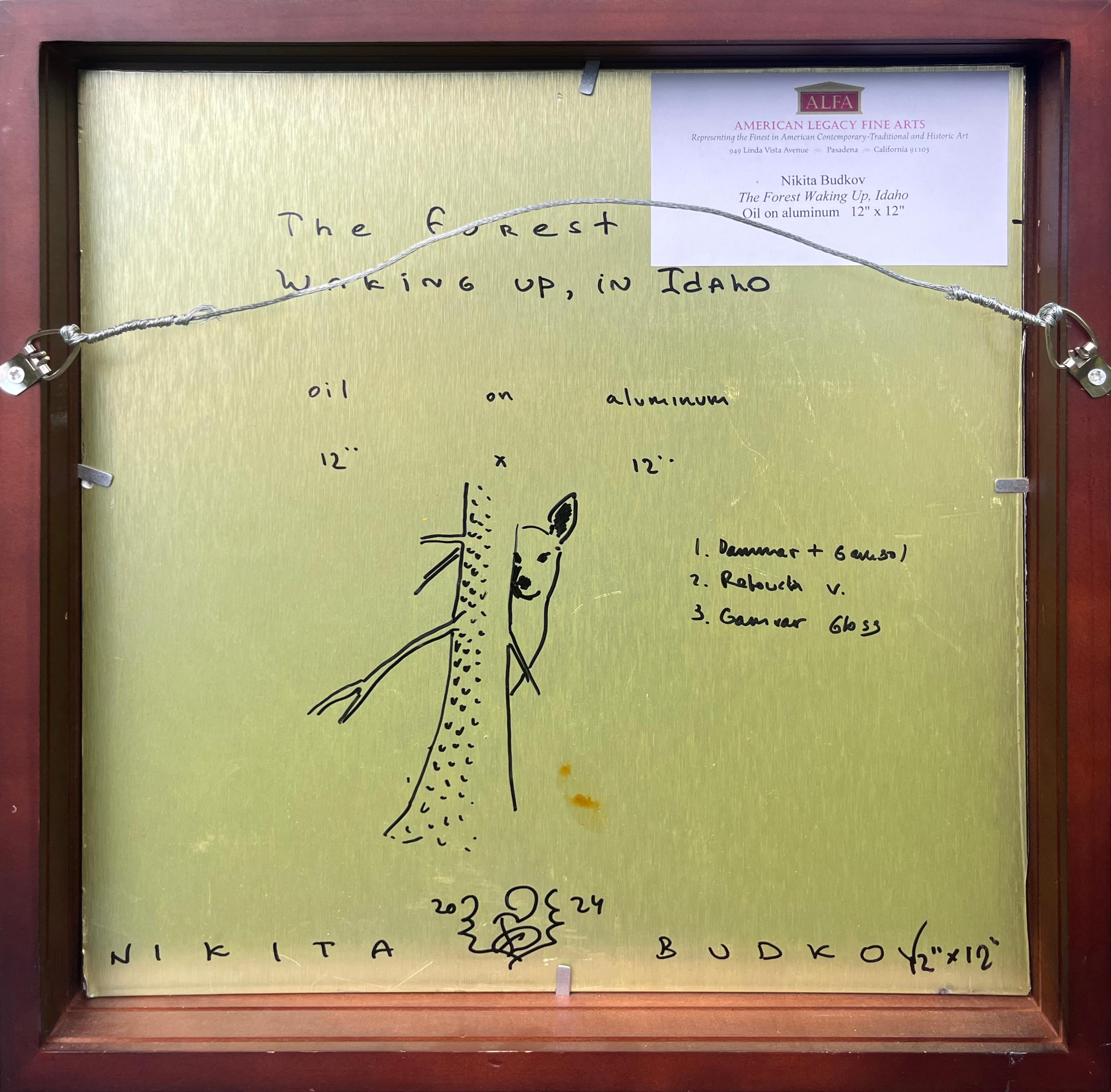 The Forest Waking Up; Boise National Forest, Idaho im Angebot 1