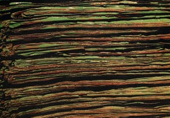 „Fresh Paintings 445“, signierter konzeptueller chromogener Druck von Nikos Luoma