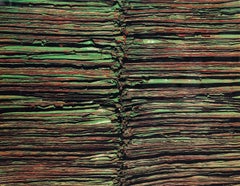 Fresh Paintings 445, stampa cromogenica concettuale firmata da Nikos Luoma