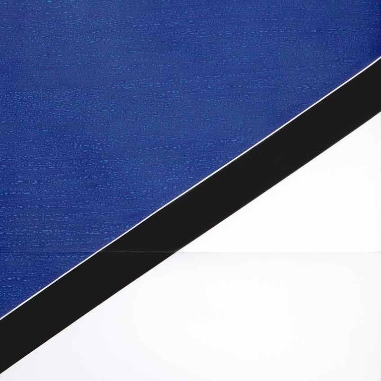 Nikolai Ishchuk Arcadia 2 Experimental Photogram on Silver Gelatin paper by Nikolai Ishchuk