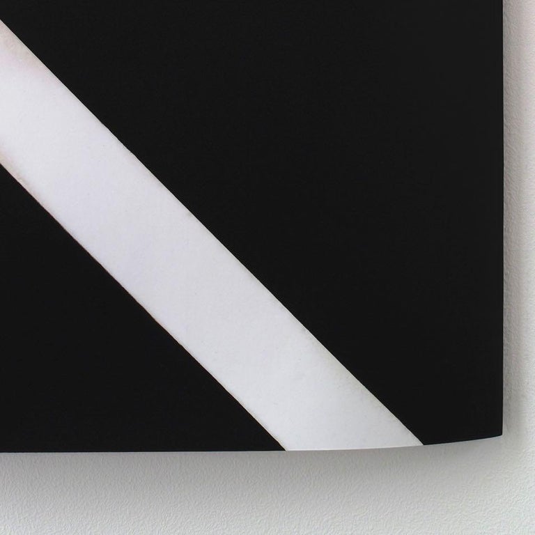 Nikolai Ishchuk Arcadia (S1) Experimental Photogram on Silver