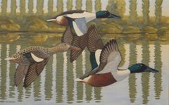 Peinture, huile sur toile « northern shovelers »