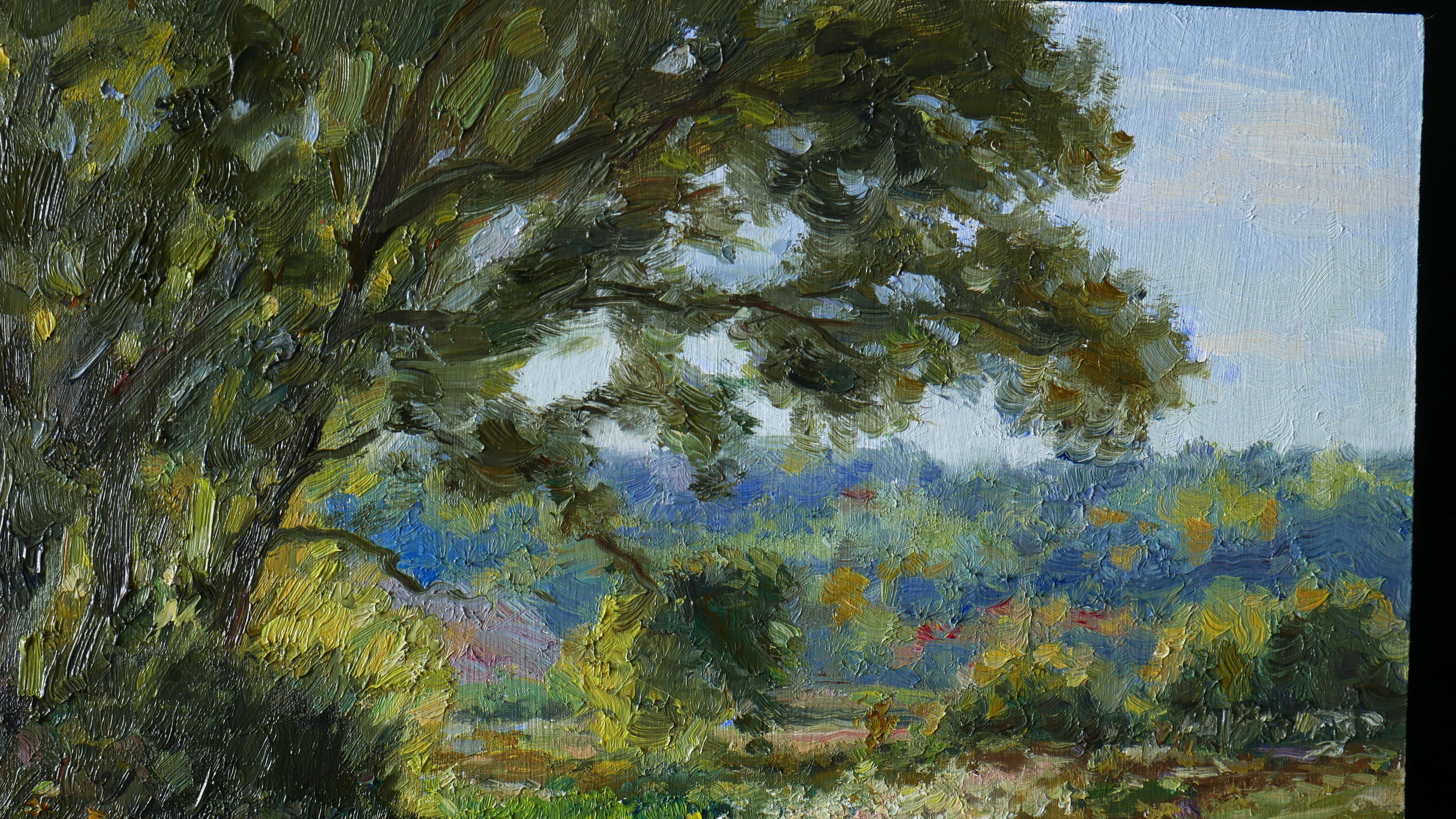 El soleado paisaje de agosto está lleno de frescor y calor. Sabemos que el verano es un periodo de hermosas flores y del cálido Sol. Nikolay nunca pierde la oportunidad de salir a plein air, cuando el día es soleado. An He cree que muchos de