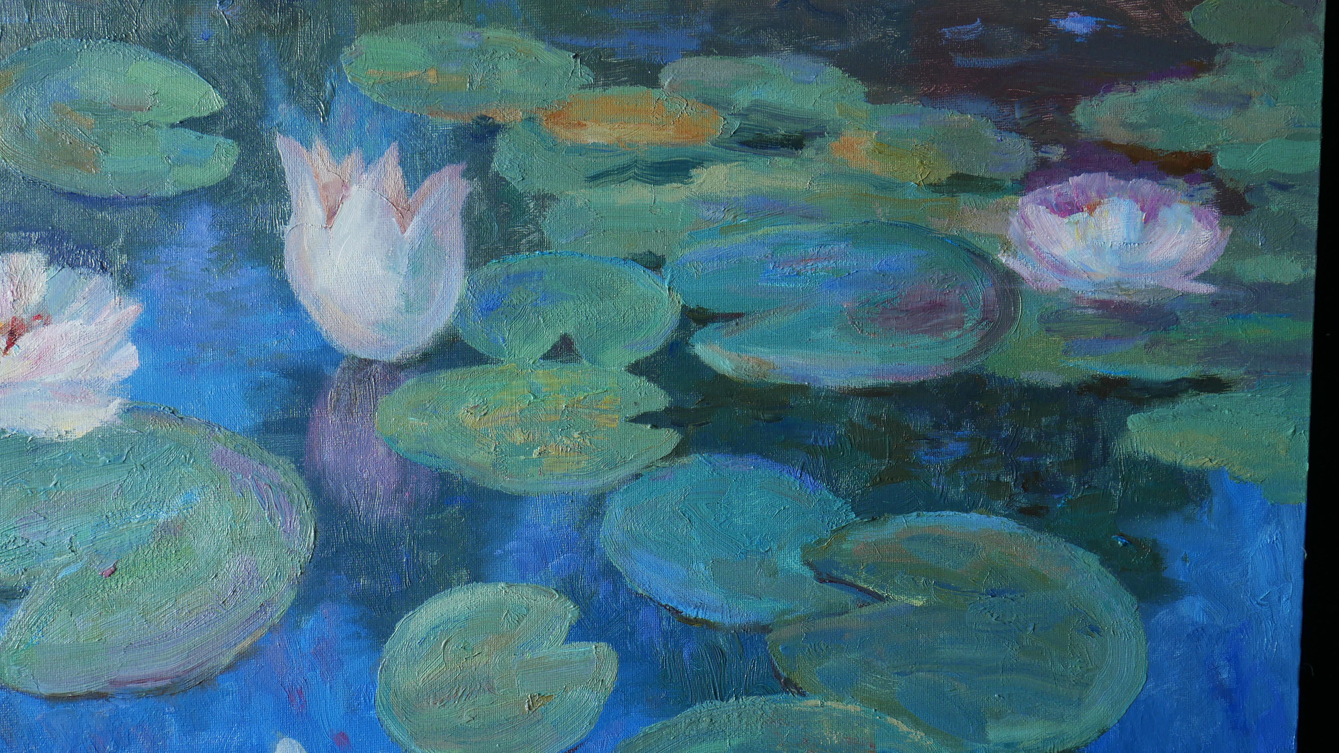 Evening Water Lilies For Sale 5