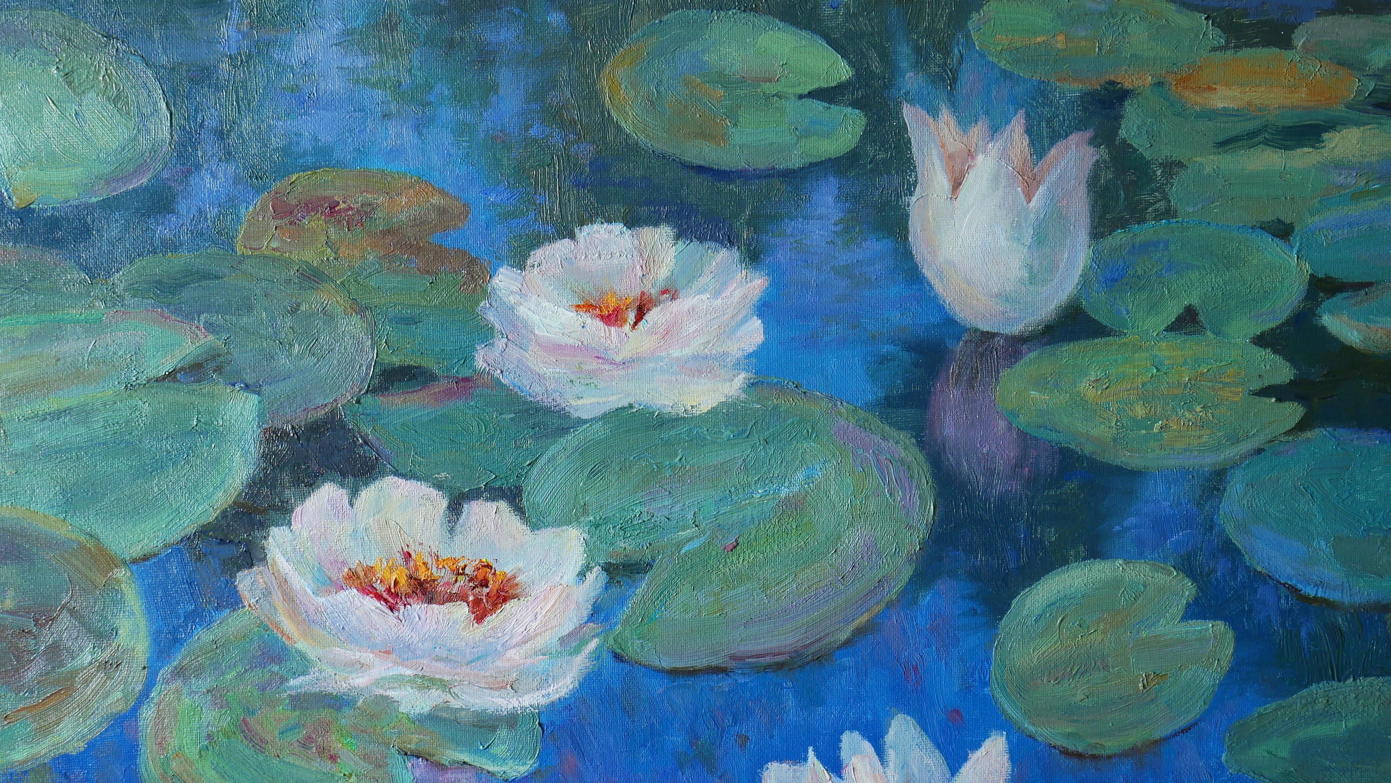 Evening Water Lilies For Sale 6