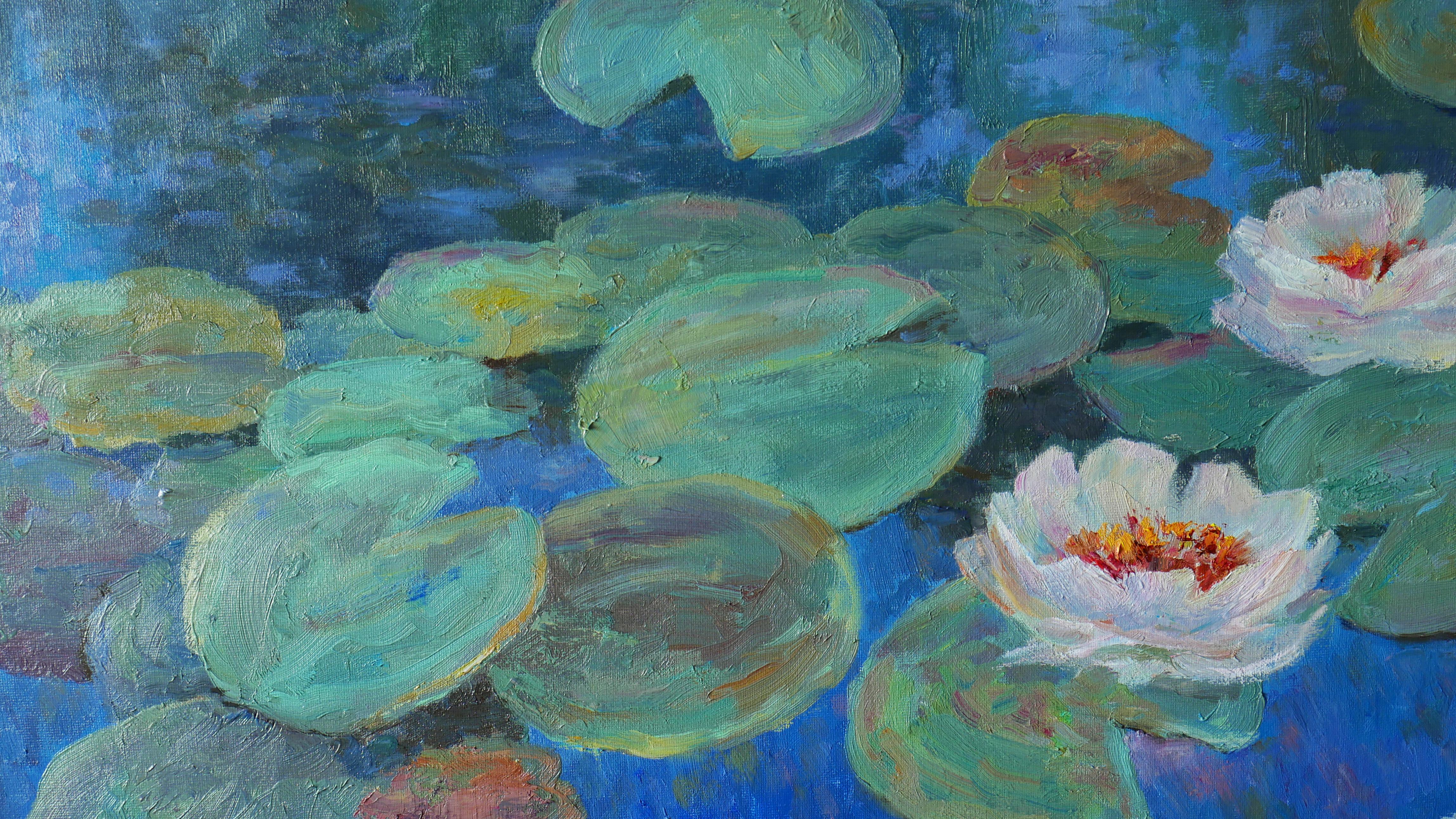 Evening Water Lilies For Sale 7