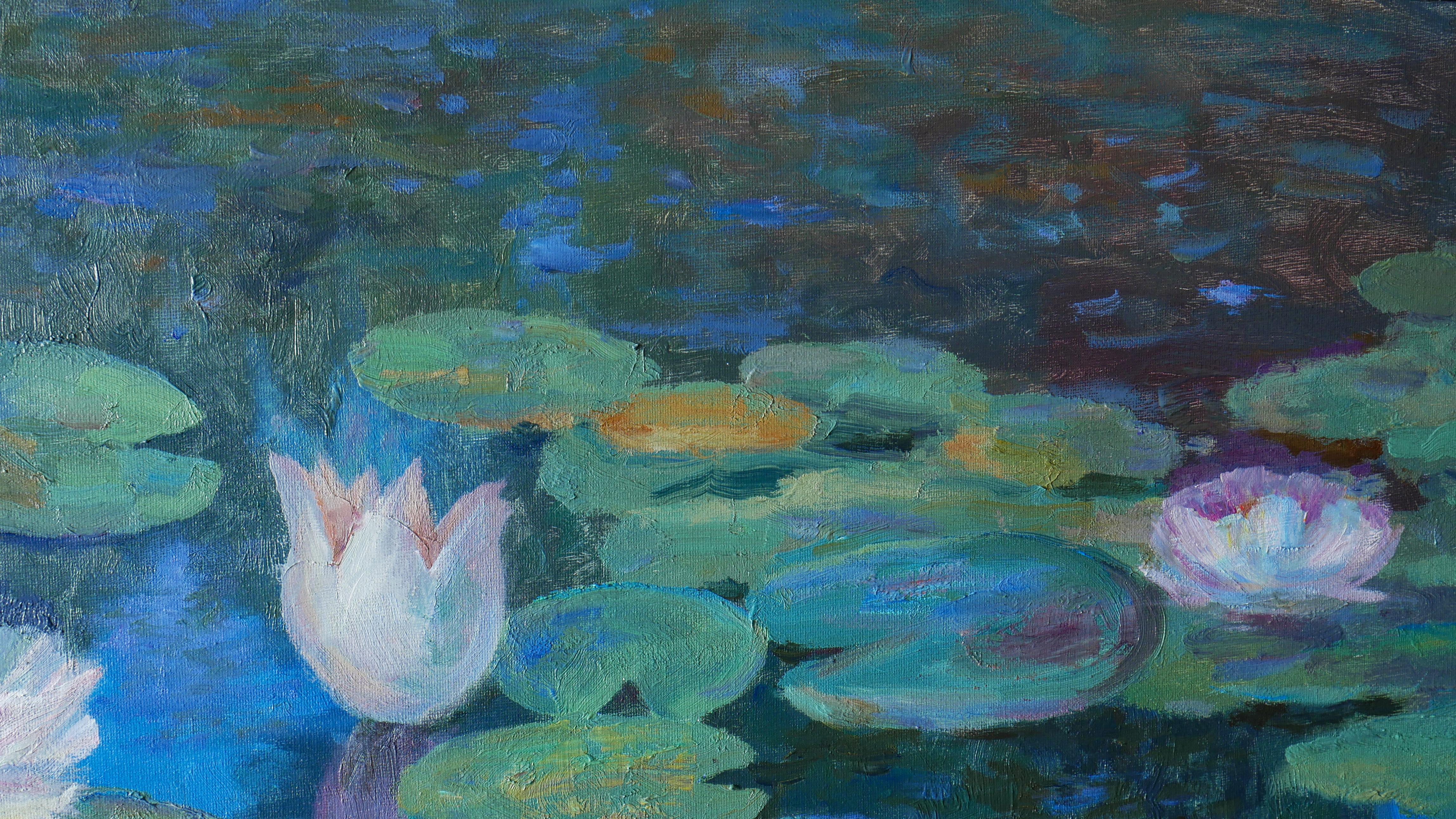 Evening Water Lilies For Sale 9