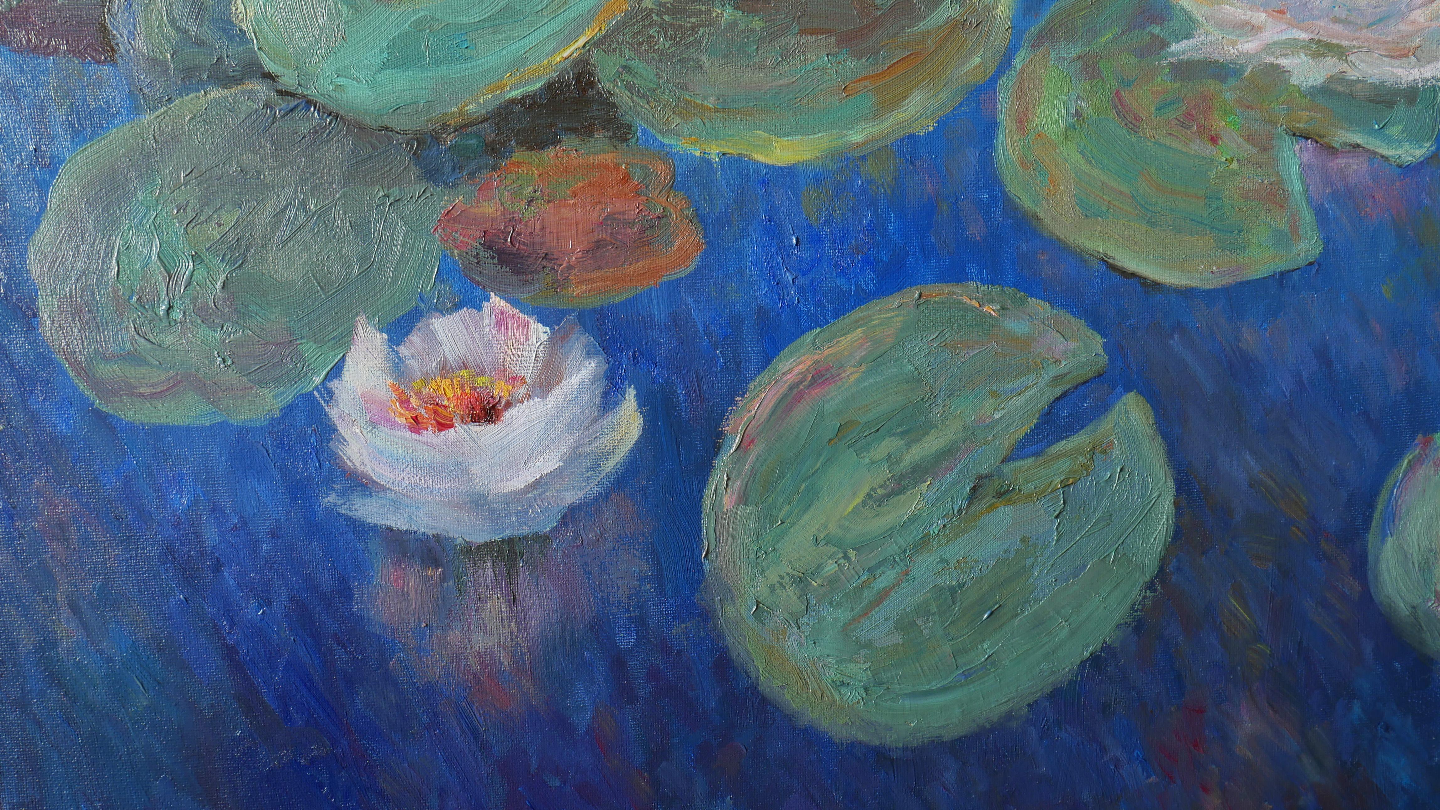 Evening Water Lilies For Sale 10
