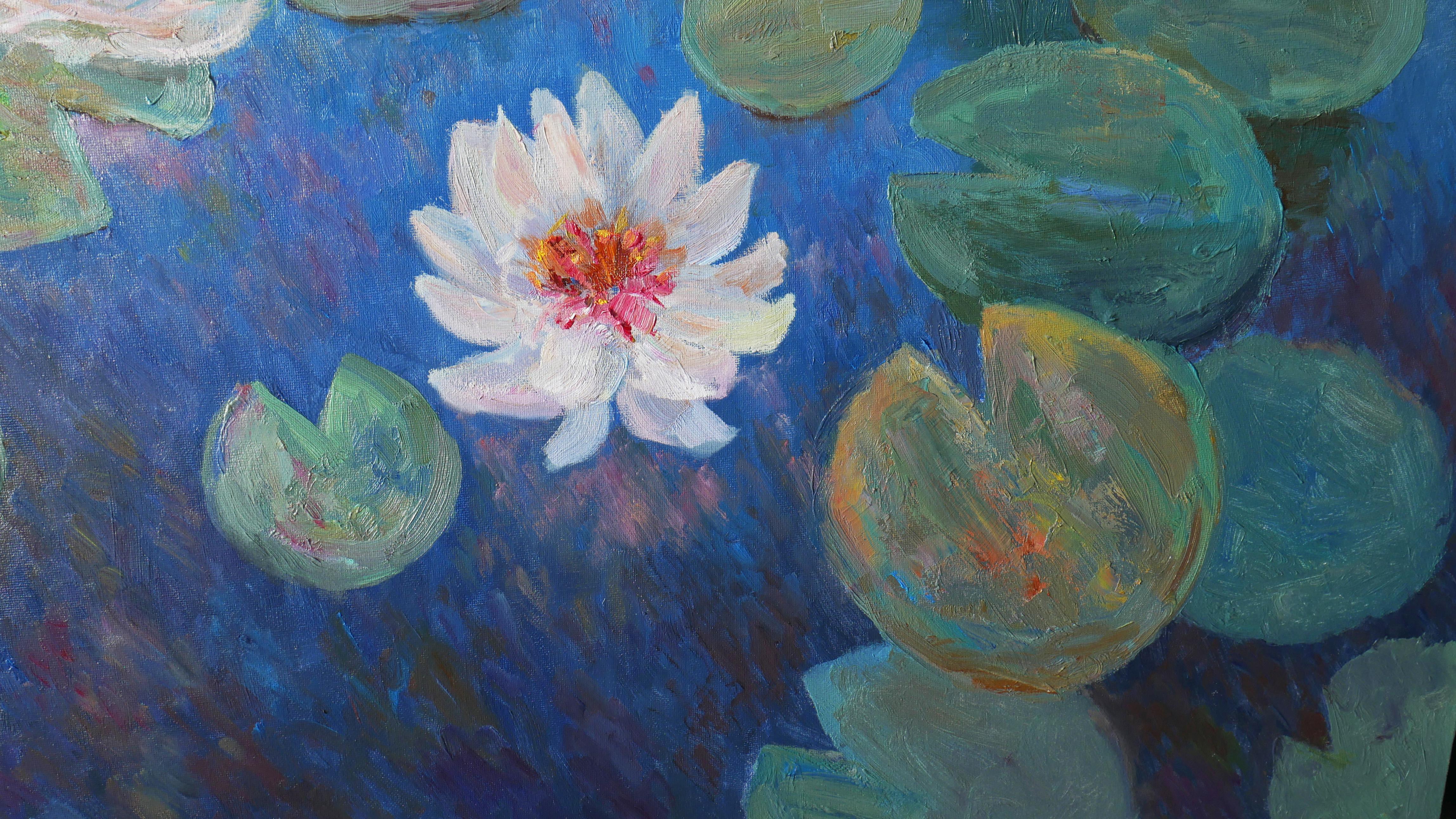 Evening Water Lilies For Sale 3