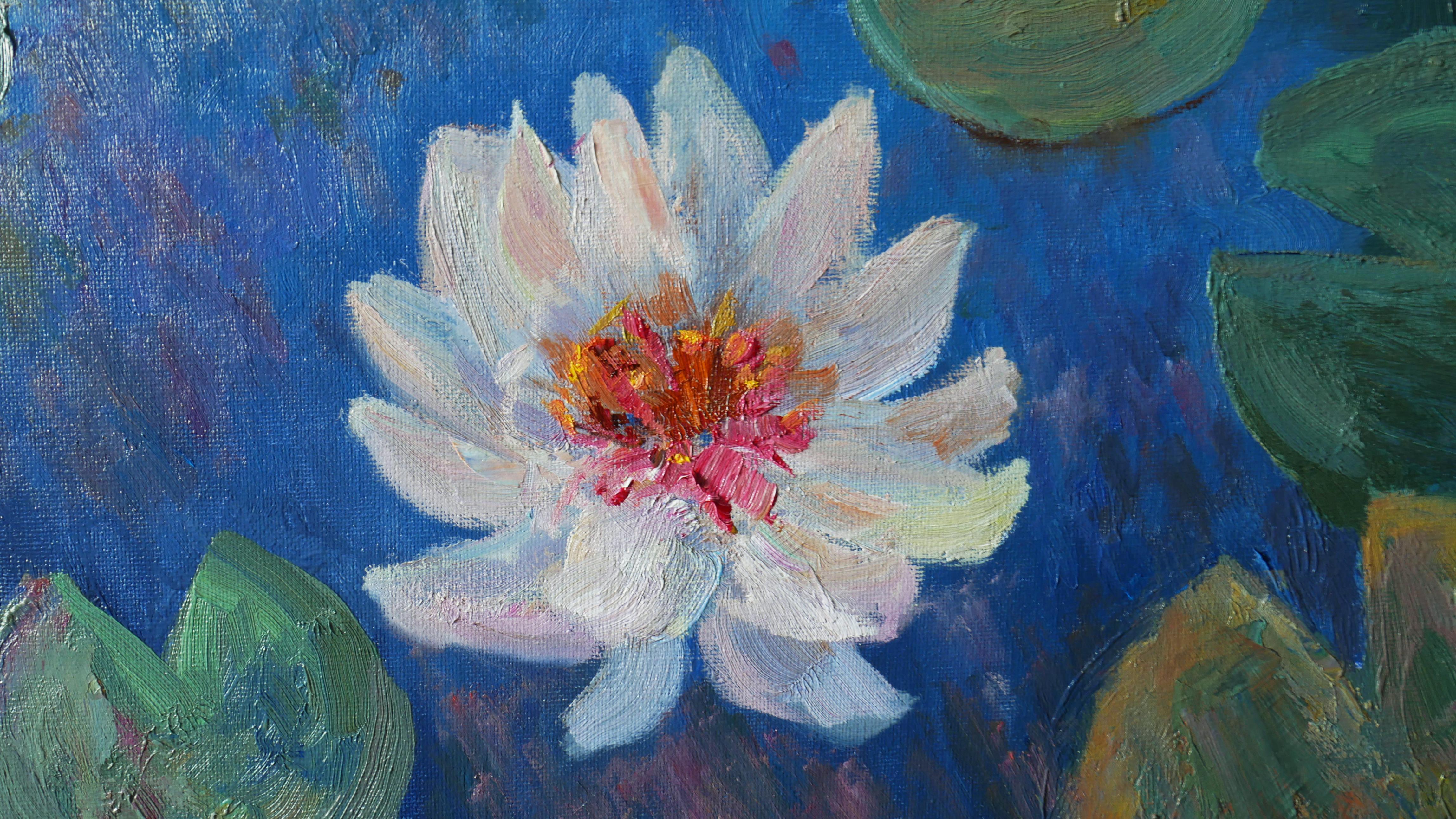 Evening Water Lilies For Sale 4