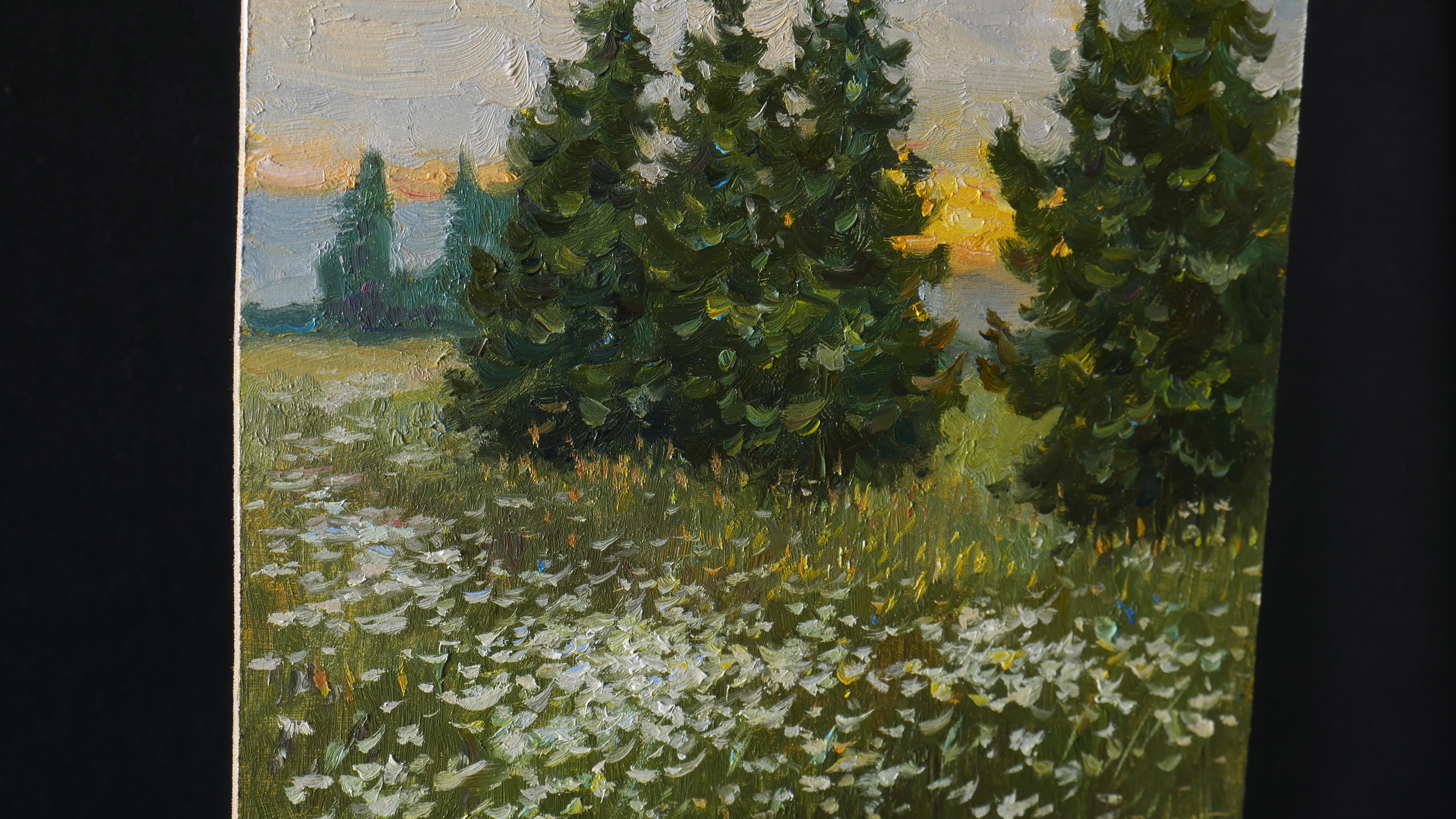 Tableau de soirée Wildflowers - paysage ensoleillé d'été - Impressionnisme Painting par Nikolay Dmitriev
