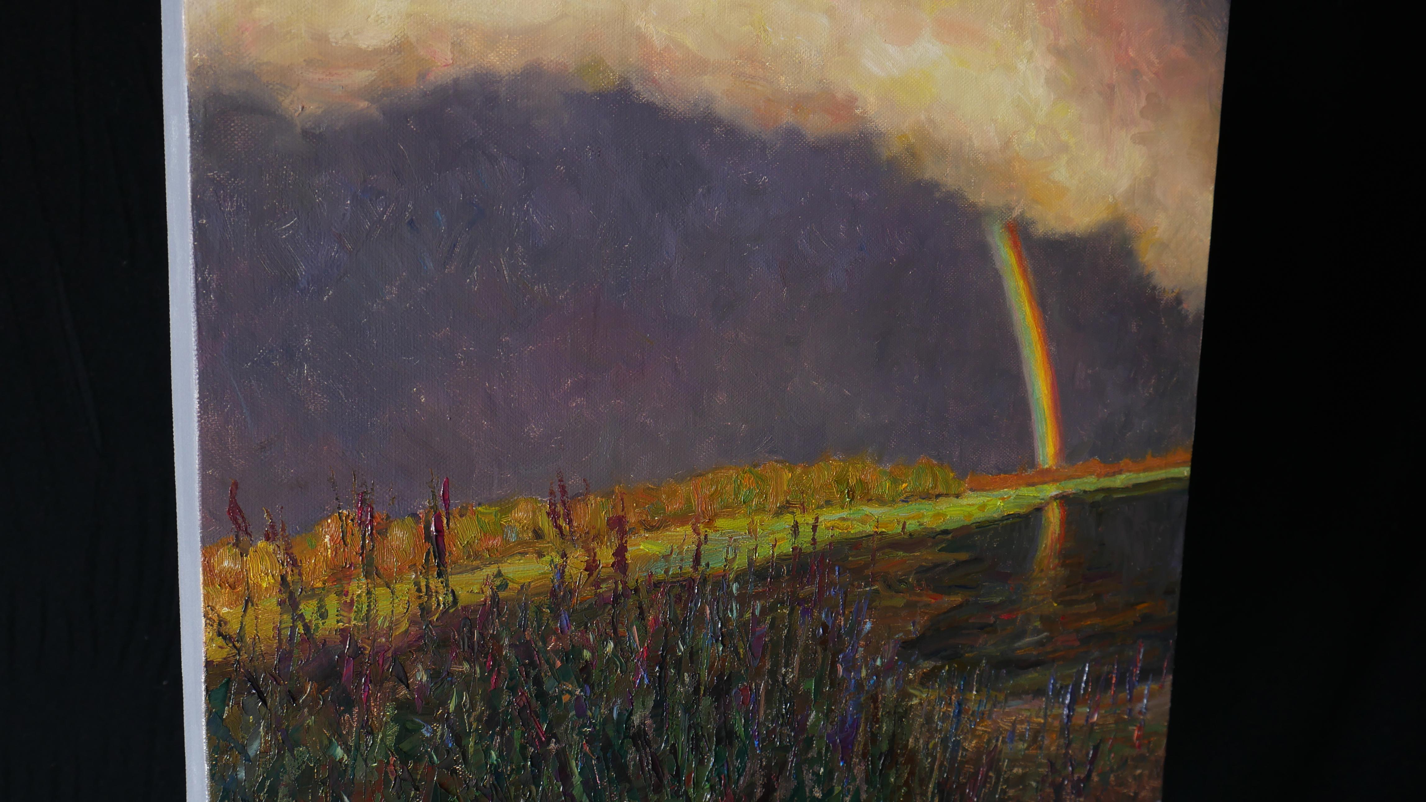 Der Regenbogen ist eines der schönsten Naturphänomene. Der Regenbogen ist ein Symbol für Hoffnung, Frieden, Glück und Güte. Ein leuchtender Regenbogen und eine hell erleuchtete Blumenwiese bilden einen atemberaubenden Kontrast zum dunklen Himmel,