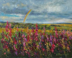 Rainbow Over Sunny Fields