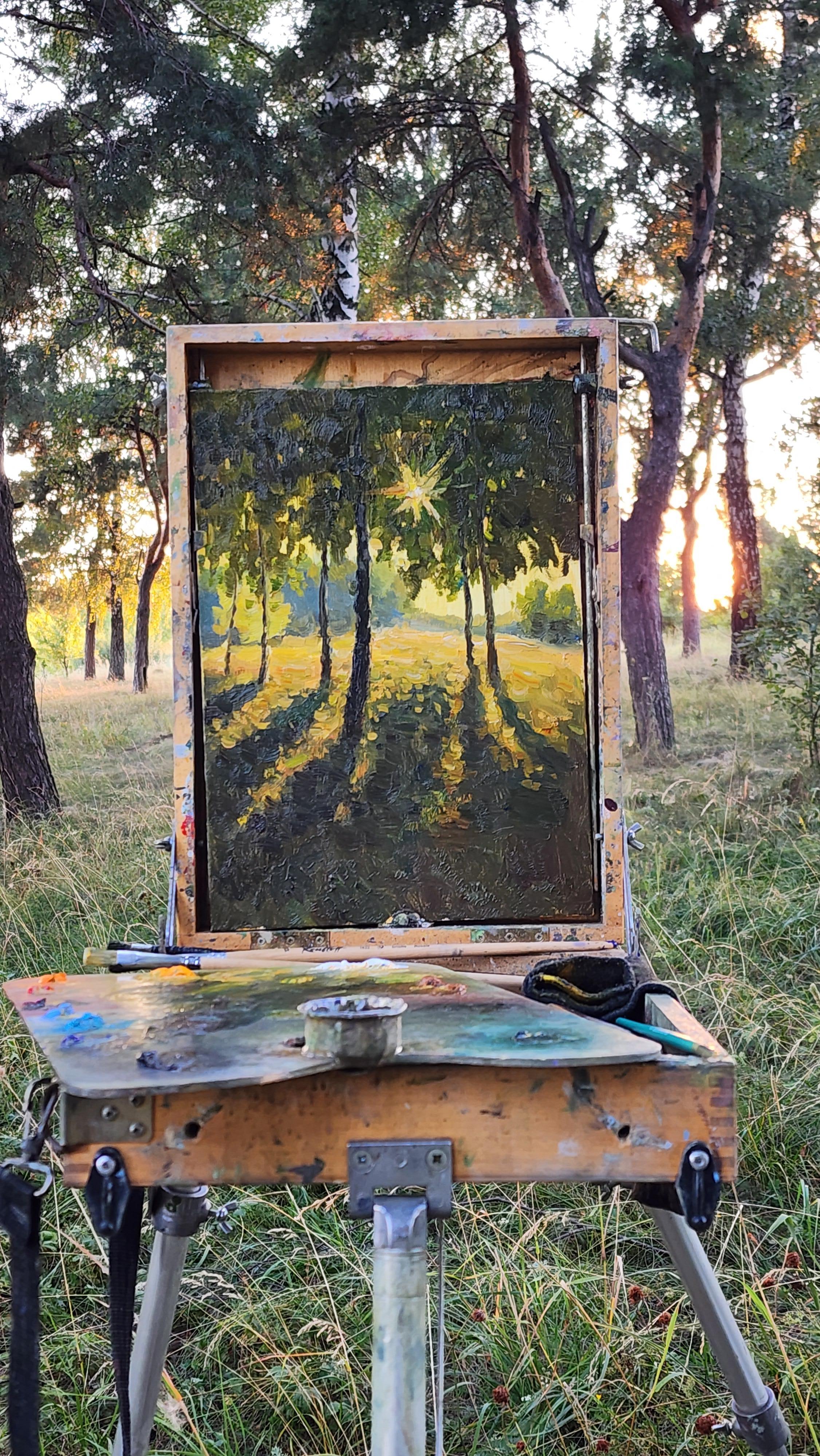 Rays Of The Evening Sun. Ölgemälde (Impressionismus), Painting, von Nikolay Dmitriev