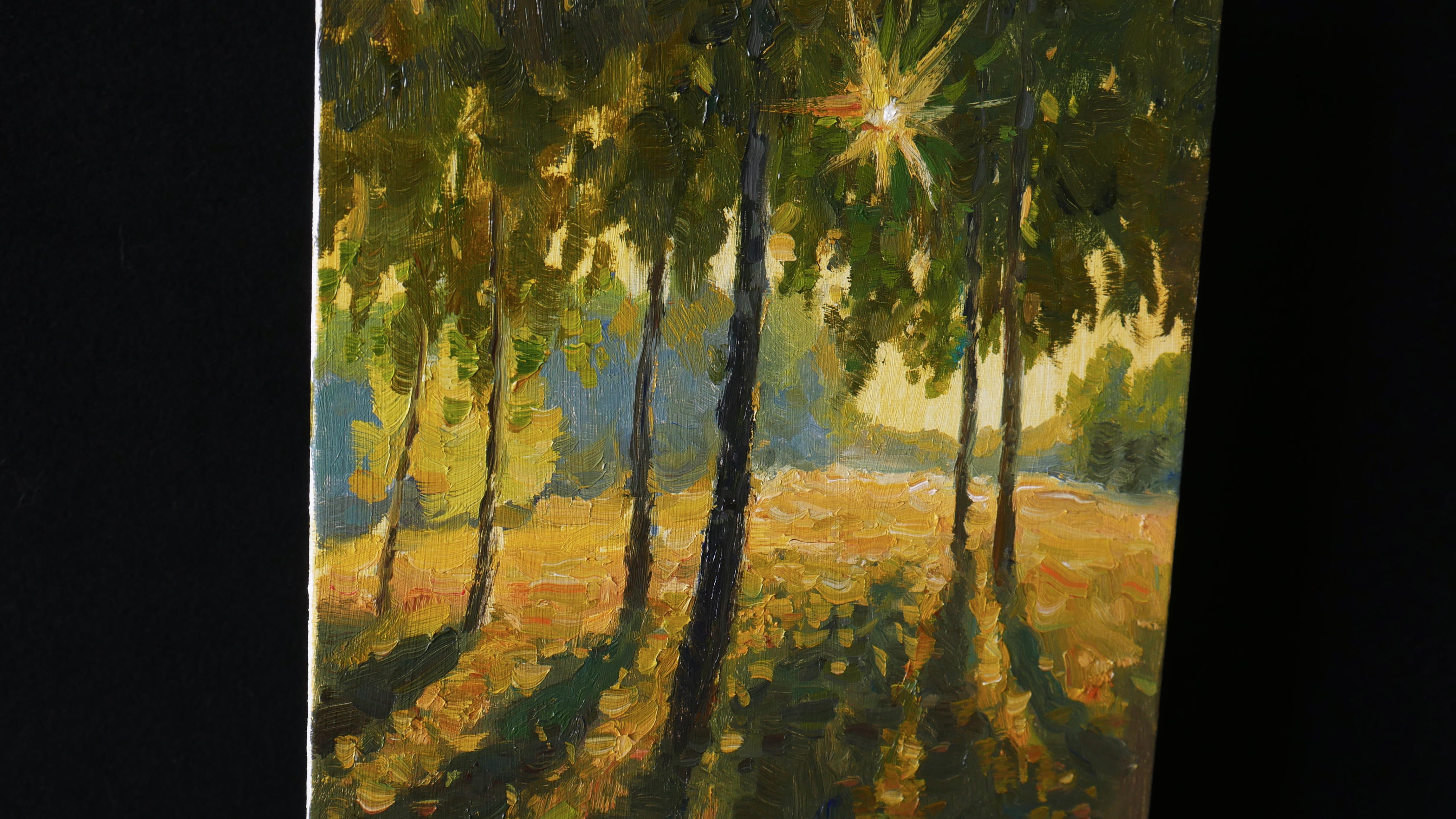 Ein helles impressionistisches Sommerbild ist leicht und lyrisch, das sonnige Kunstwerk wird Ihr Haus immer nur mit positiven Emotionen und guter Laune füllen.

Das Bild ist von der Autorin und original. Es ist auf der Vorderseite signiert und auch
