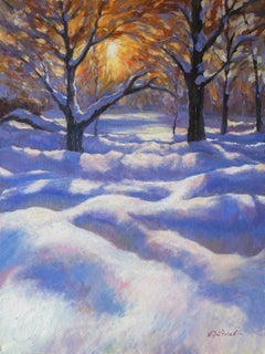 I raggi del sole d'inverno