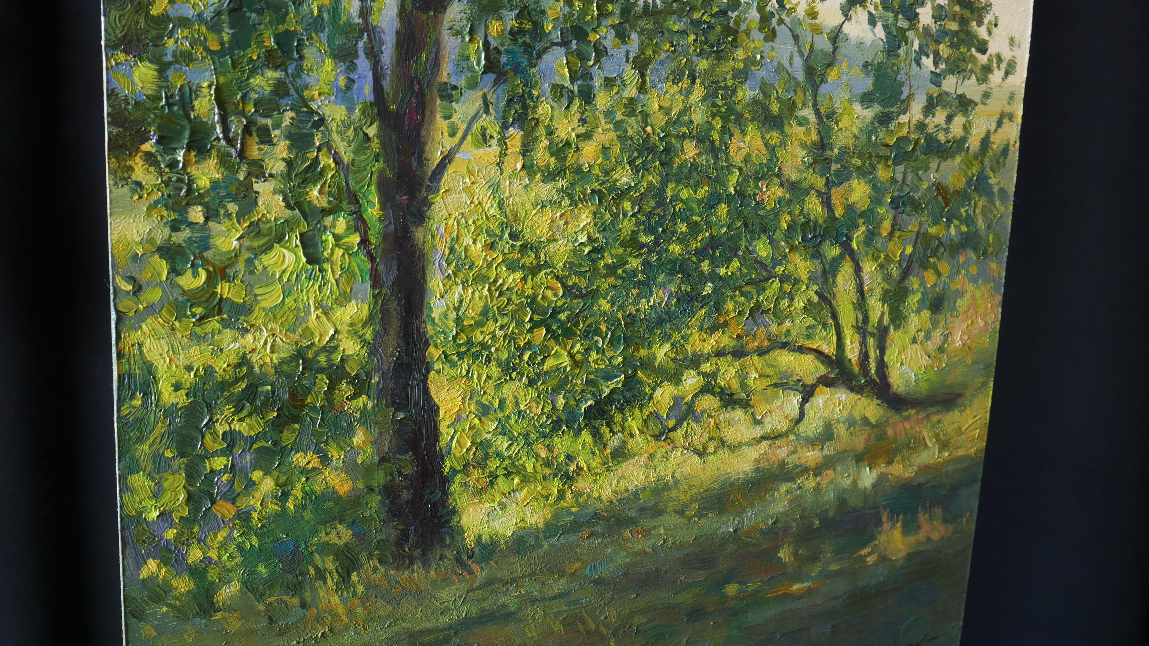 Sommerliches Sonnenlicht. Ölgemälde (Schwarz), Landscape Painting, von Nikolay Dmitriev