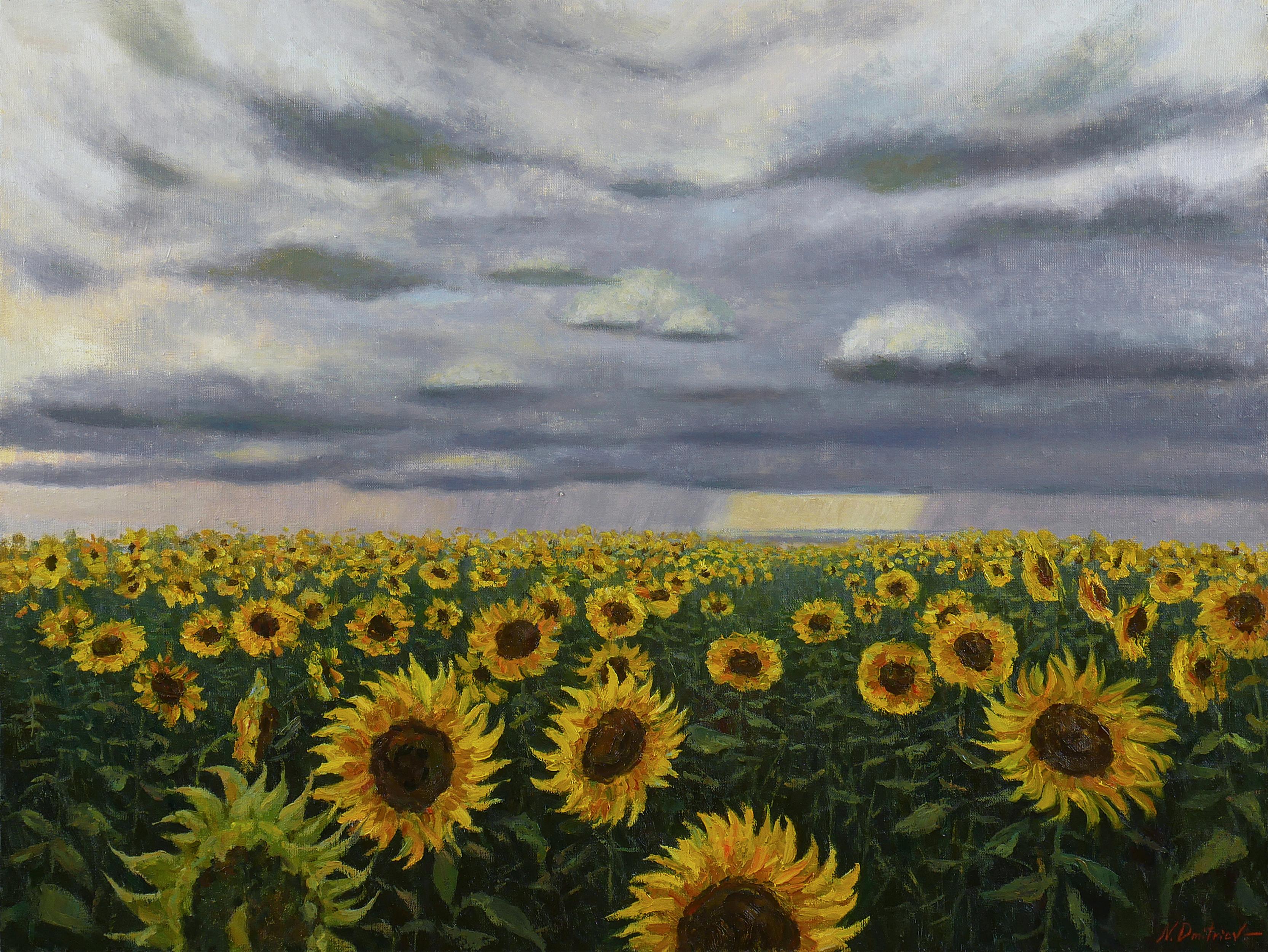 Nikolay Dmitriev Sunflower Field original landscape painting For