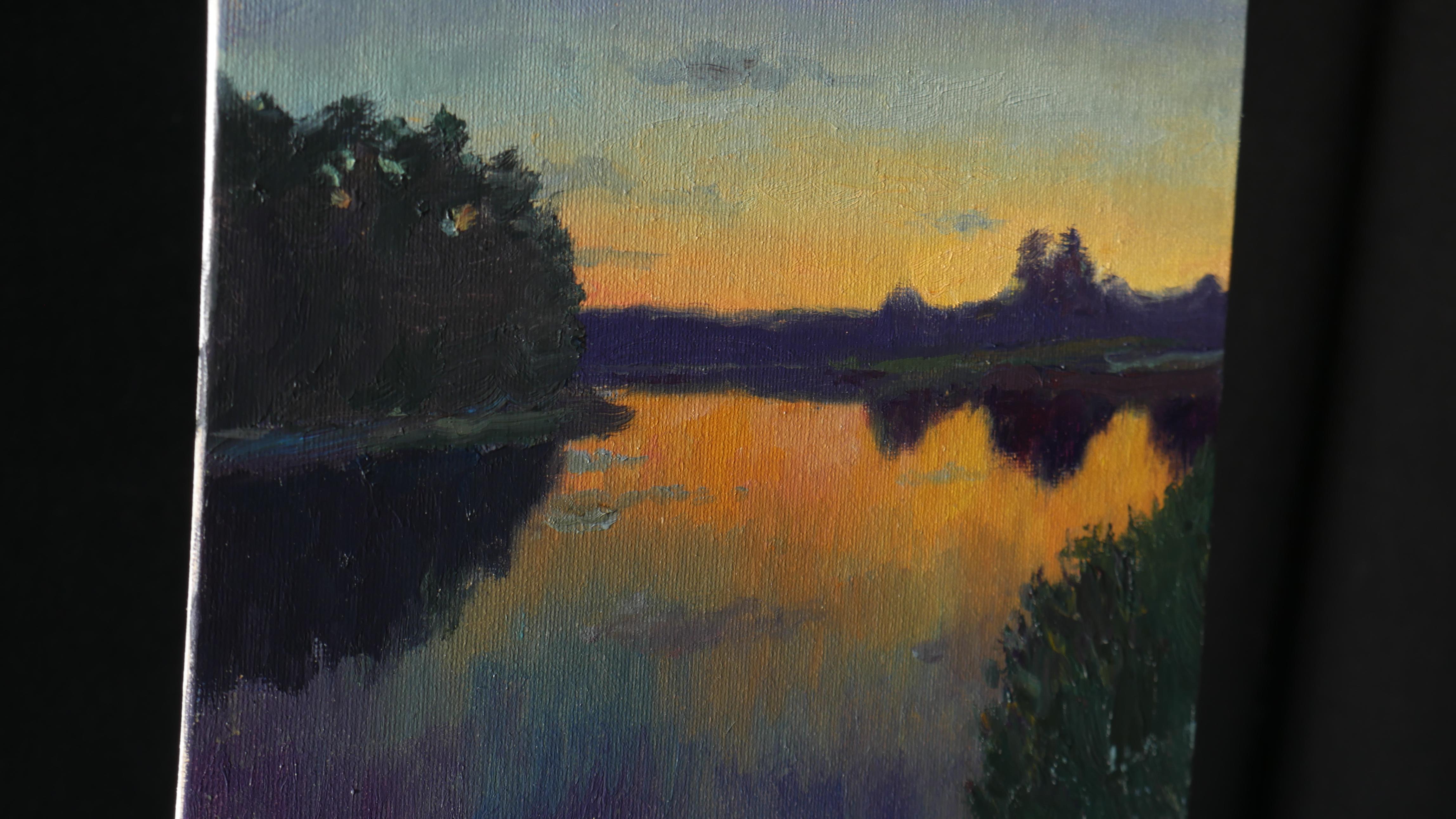 Sunset Over the Pond - original sunny landscape, painting - Impressionist Painting by Nikolay Dmitriev