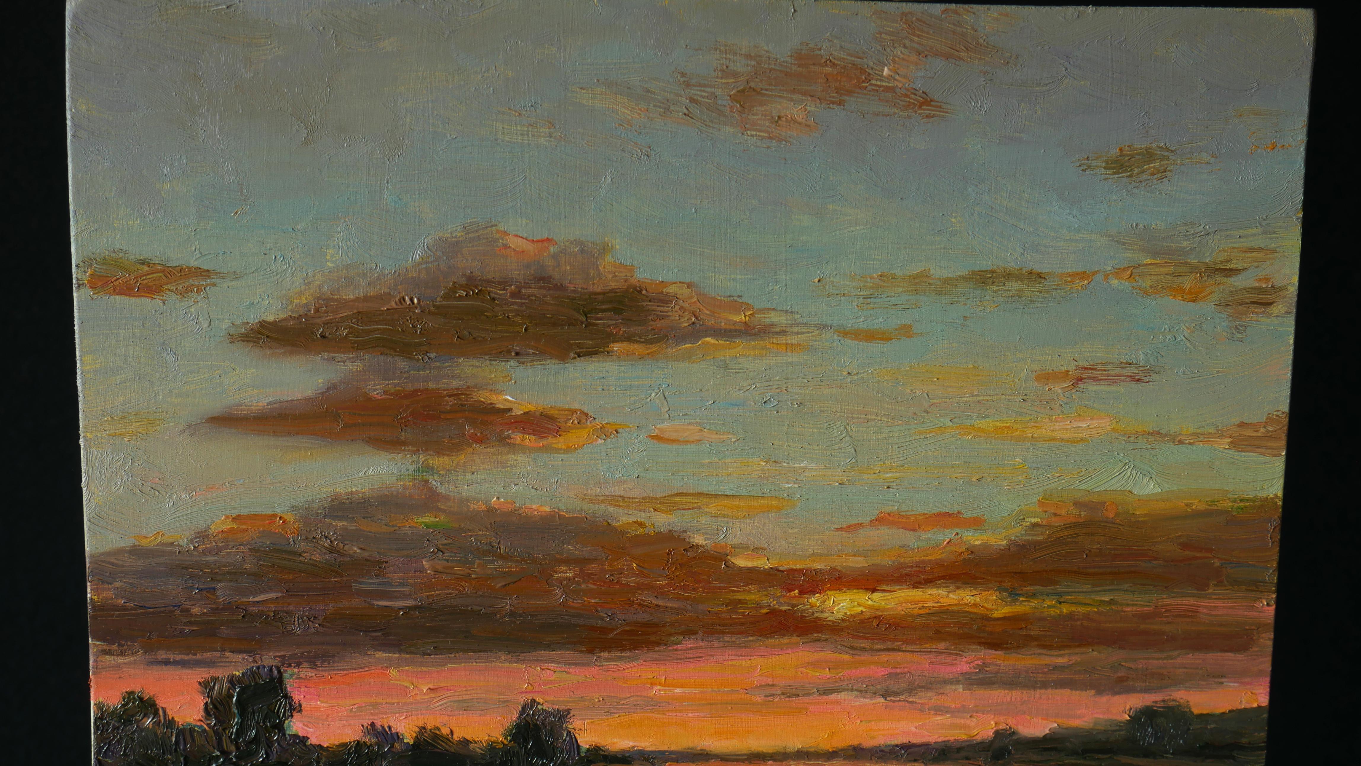 Sonnenuntergang über dem Fluss – Landschaftsgemälde bei Sonnenuntergang (Schwarz), Interior Painting, von Nikolay Dmitriev
