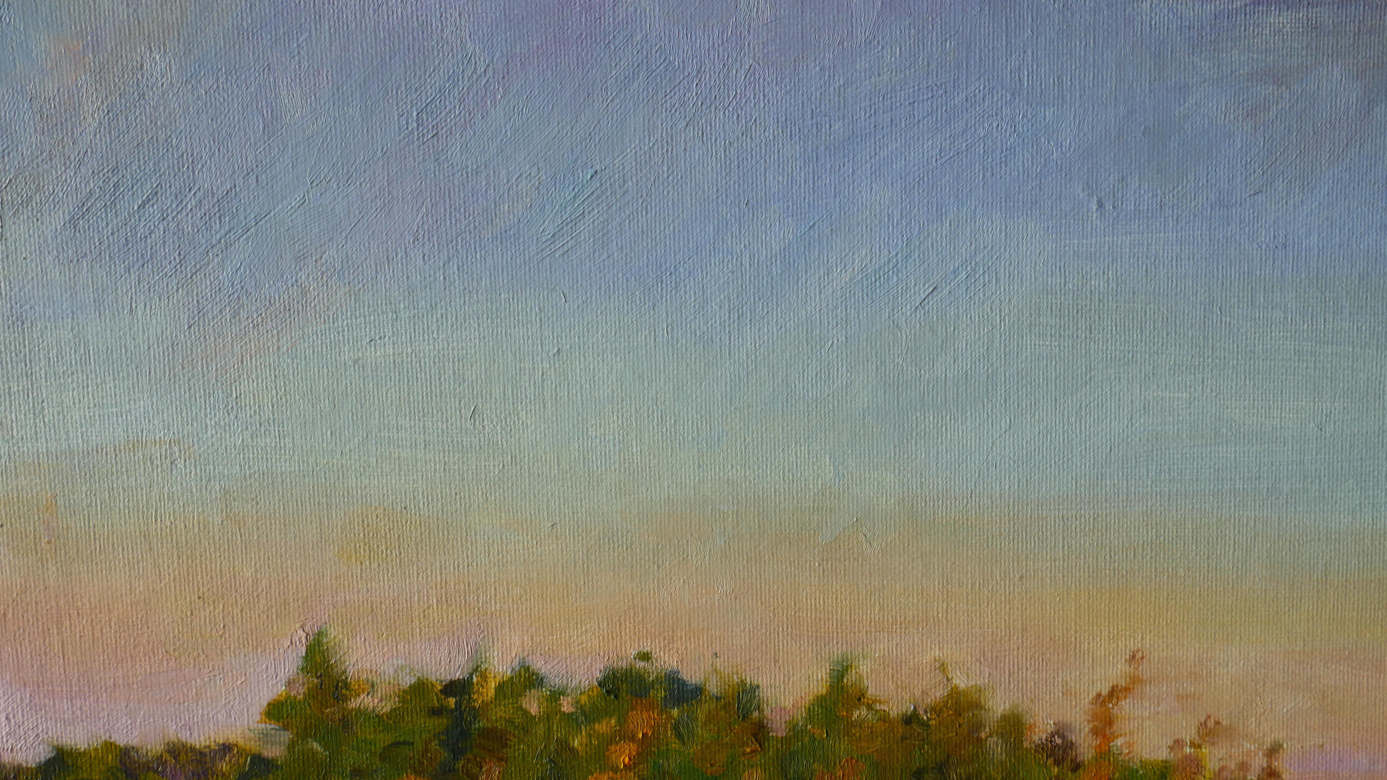 The autumn evening painting with sunset was painted en plein air, the artist was admired by bright colors of sunset and purple shadows of trees.

The picture is author's and original.
Materials used: oil on canvas board.
Dimensions: 11,81x15,75