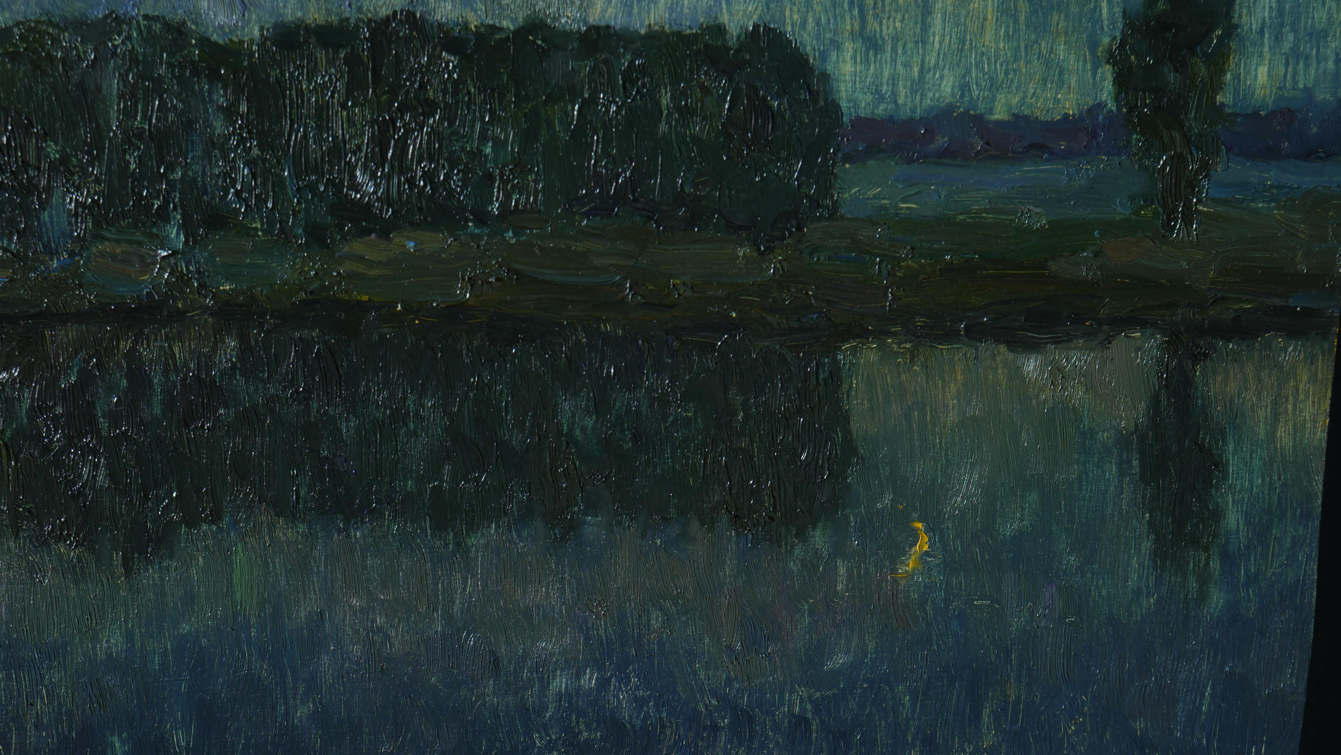 Die tiefe Nacht – Nachtgemälde (Schwarz), Landscape Painting, von Nikolay Dmitriev