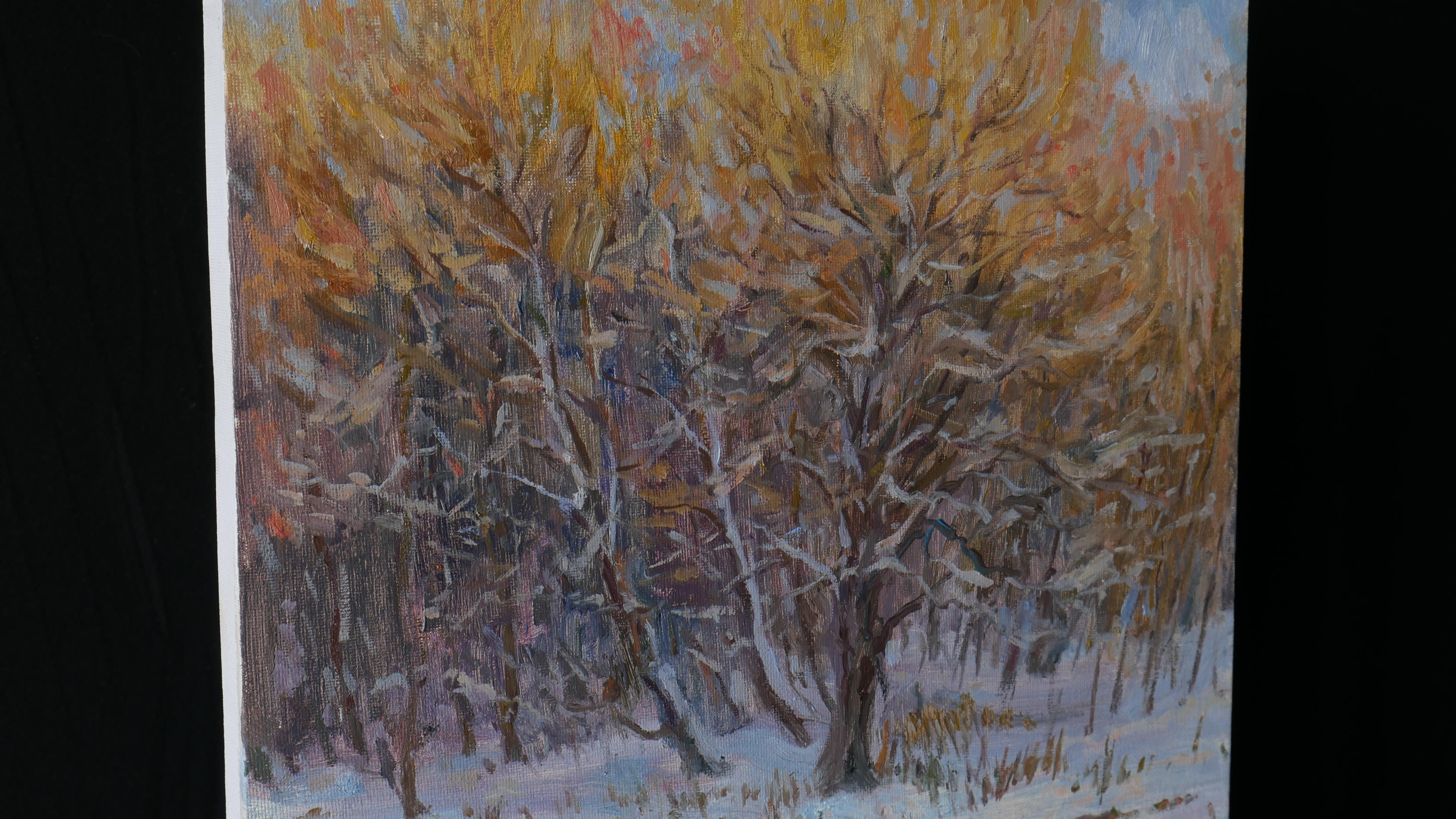 The Latest Touches Of The Winter Sun - Winter- Flusslandschaftsgemälde (Impressionismus), Painting, von Nikolay Dmitriev