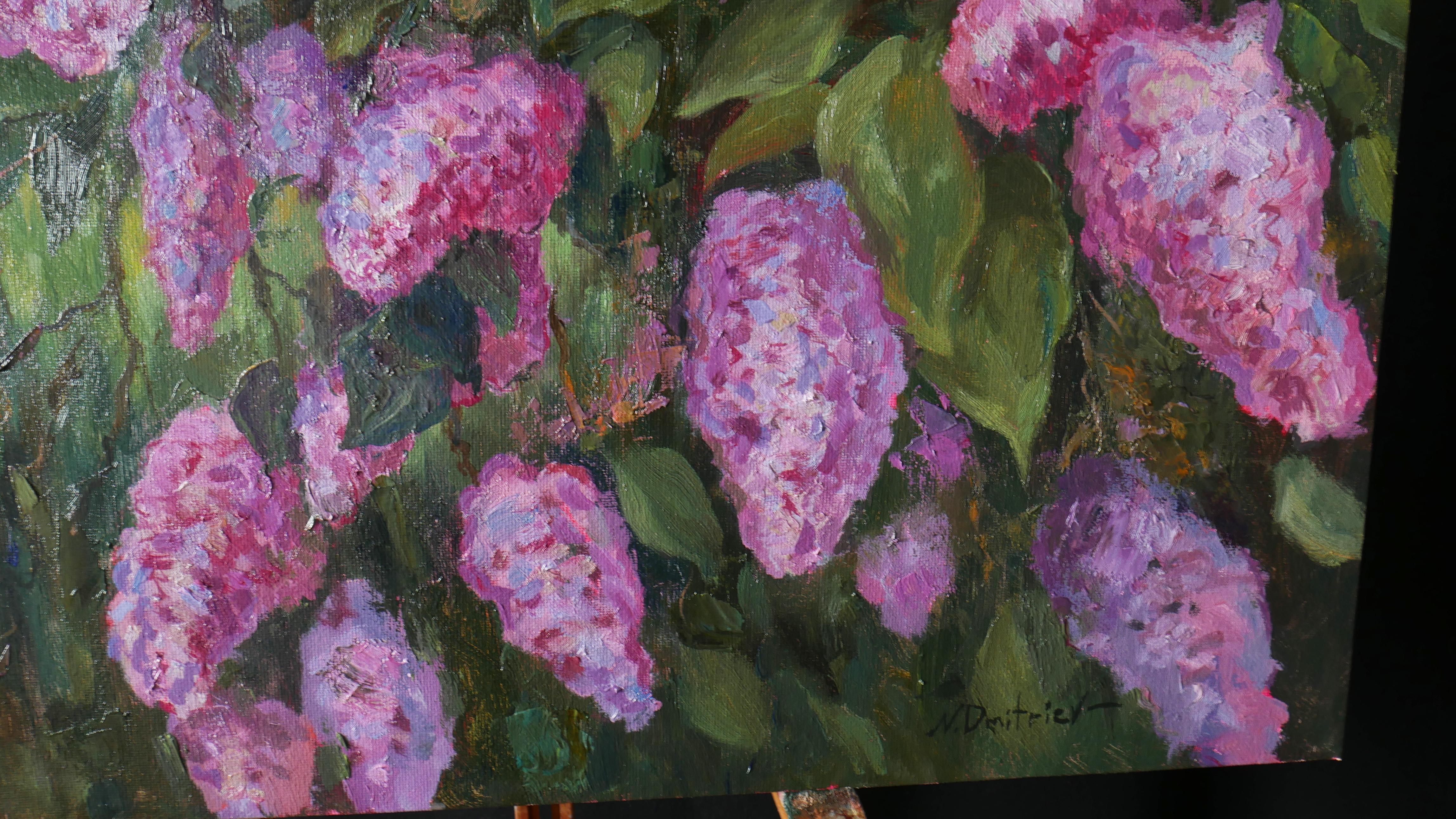 The Sunny Lilac Bush For Sale 6