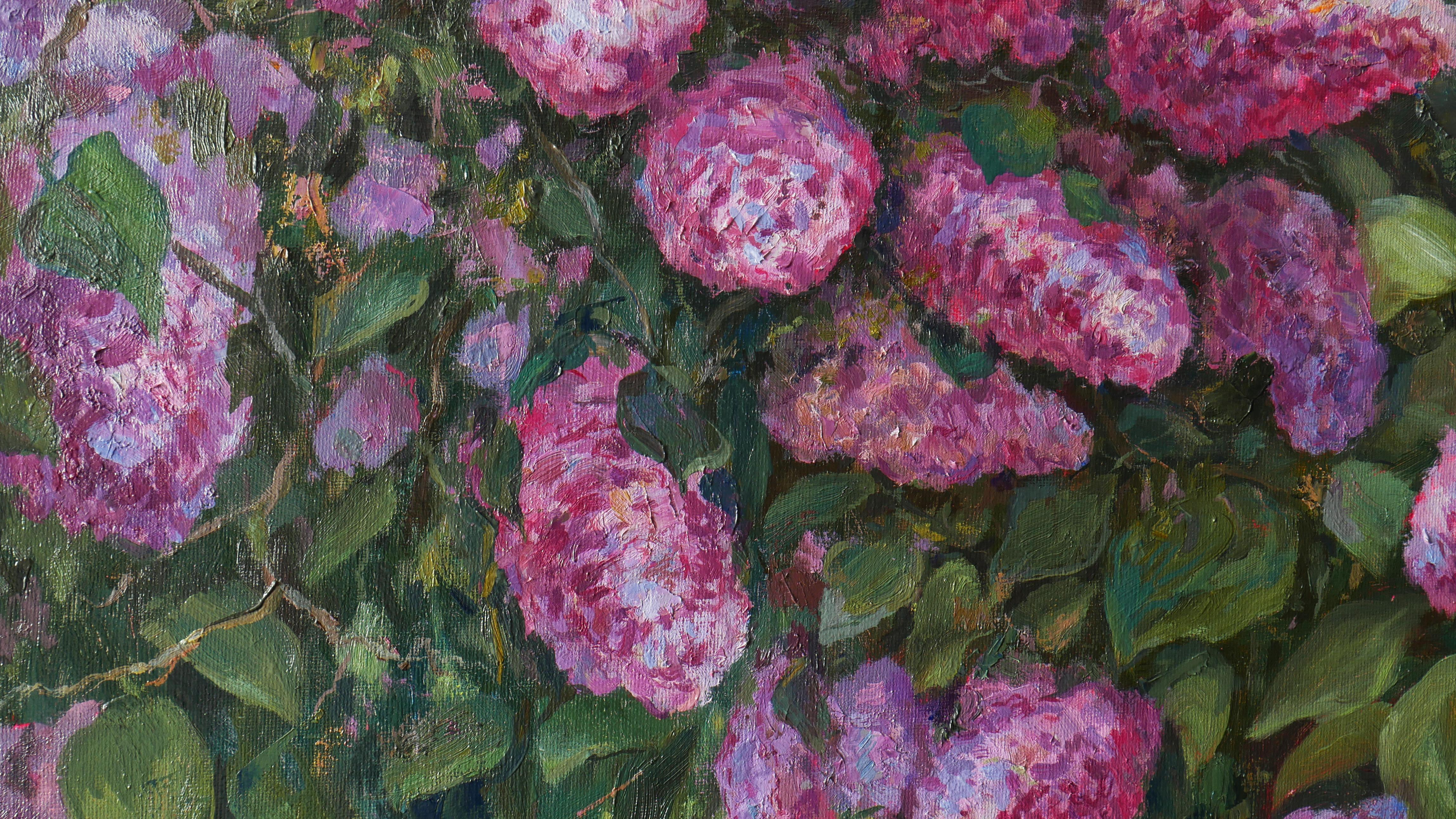 The Sunny Lilac Bush For Sale 4